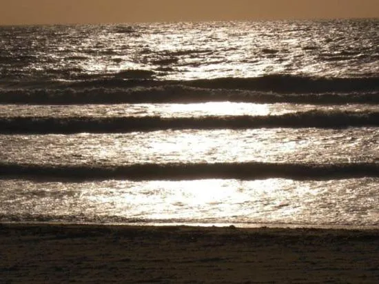 Property building in 120-Oceanfront Penthouse 5