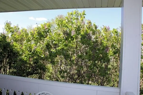 Balcony/Terrace in Belle Aire Mansion Guest House