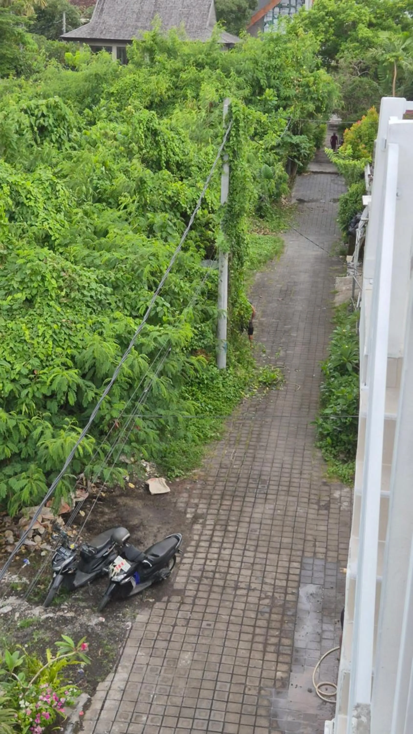 Spring in Laksmi Guest House