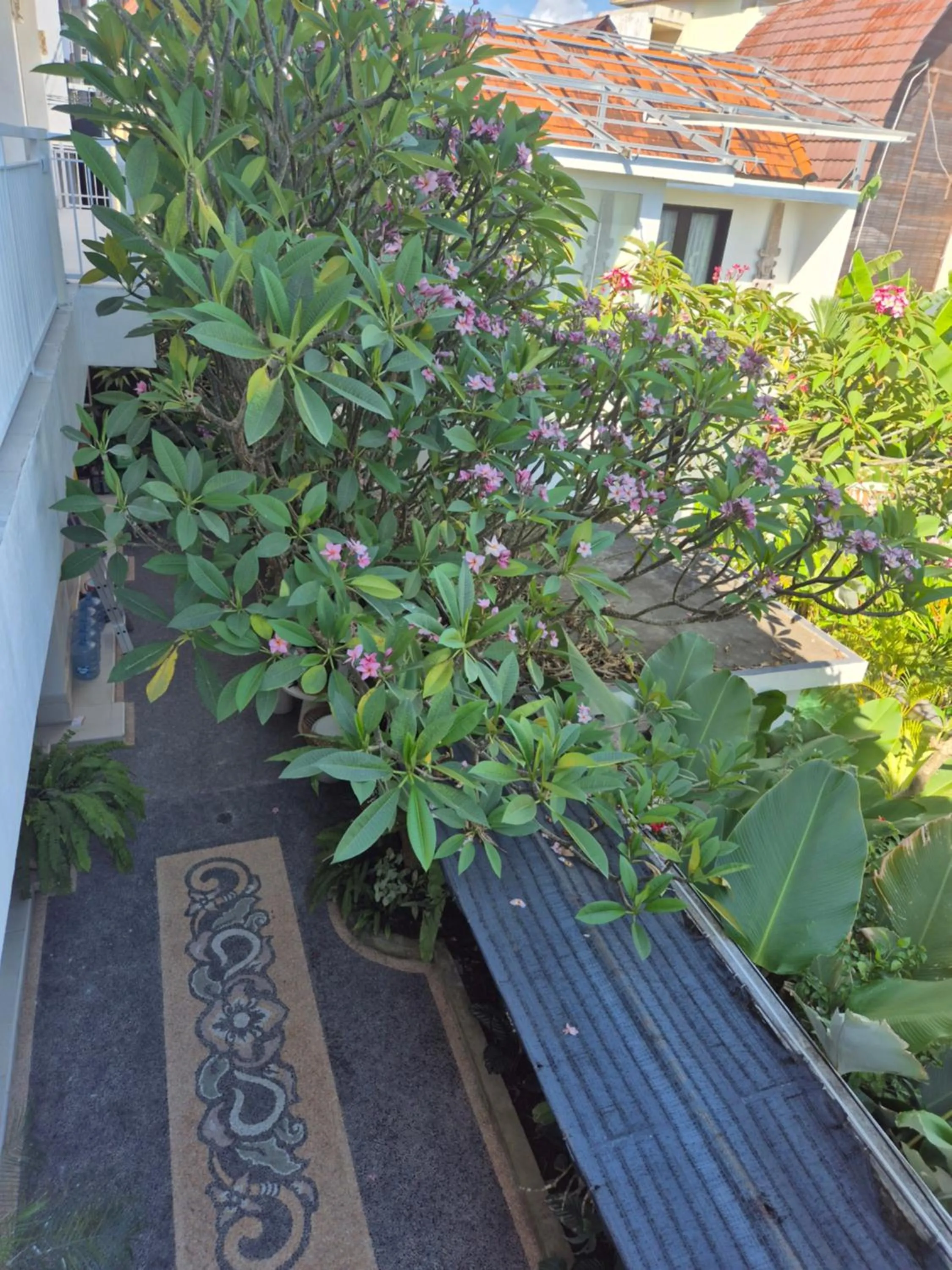 Spring in Laksmi Guest House