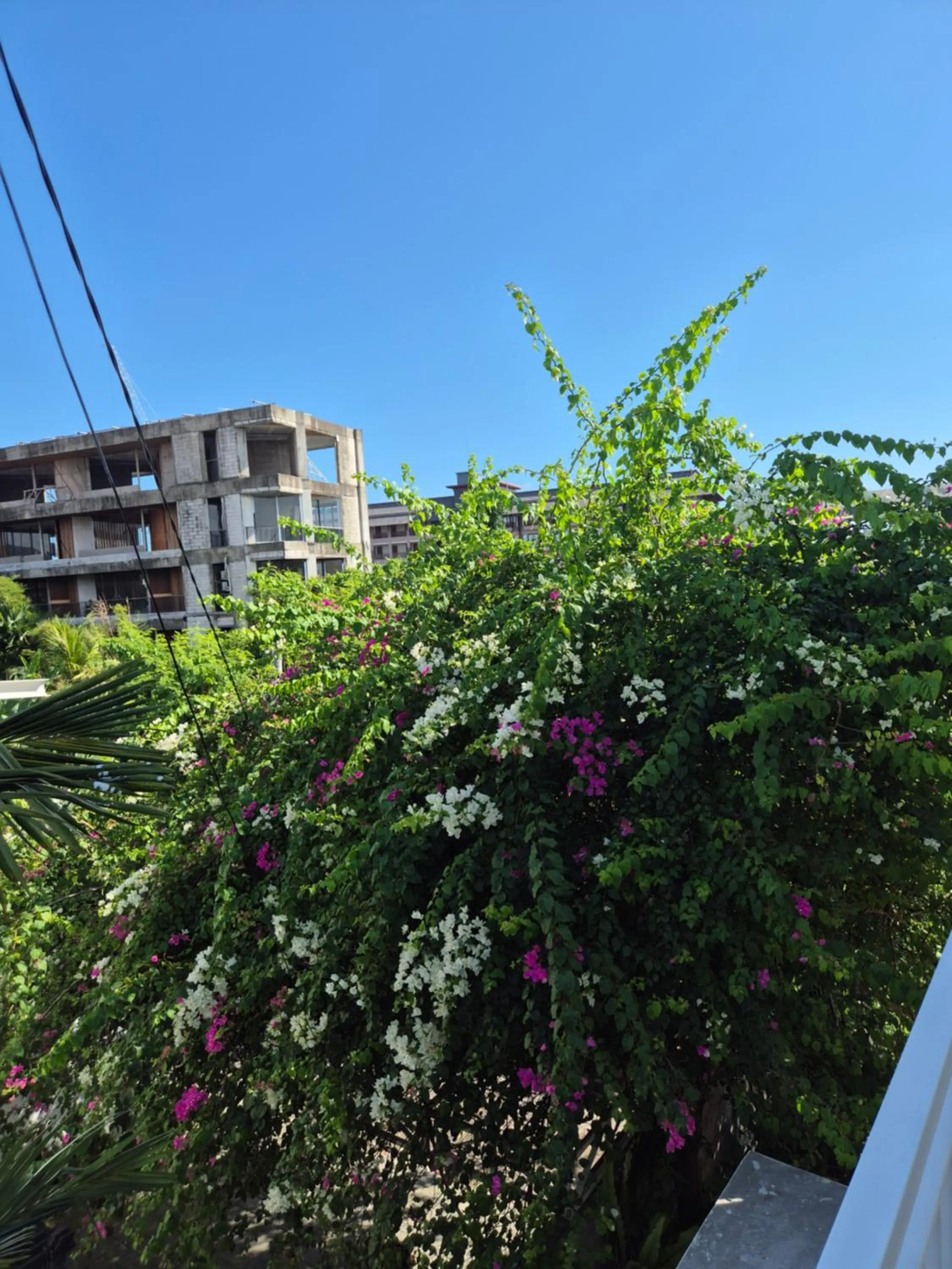 Property building in Laksmi Guest House