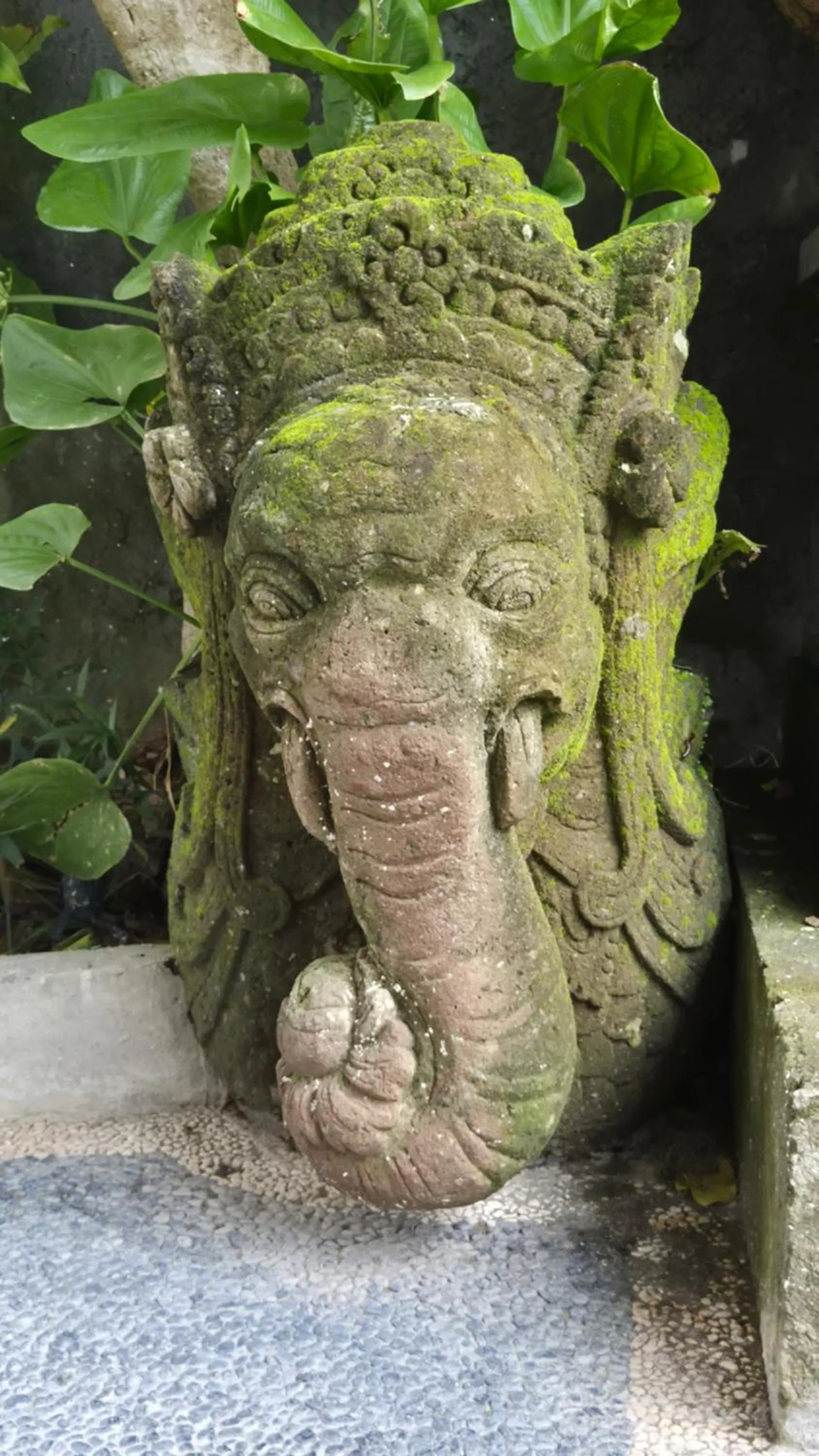 Property building in Laksmi Guest House