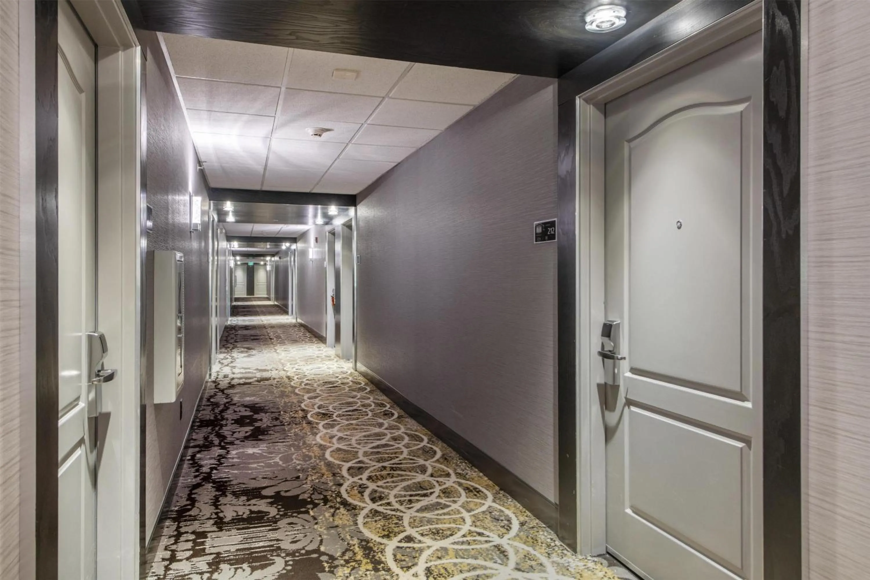 Lobby or reception in Hampton Inn & Suites Raleigh-Durham Airport-Brier Creek