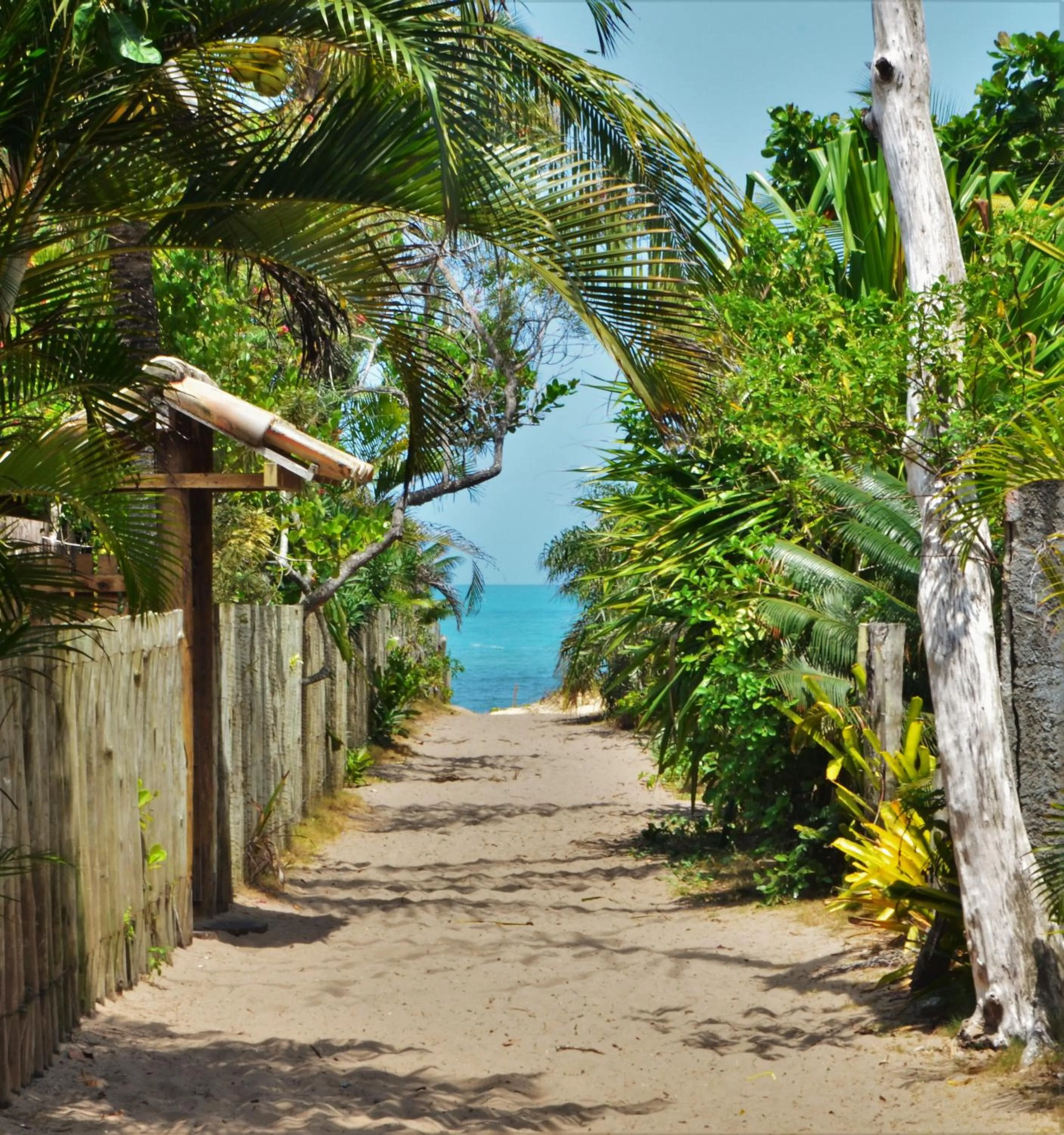 Beach in Pousada Da Praia CARAIVA