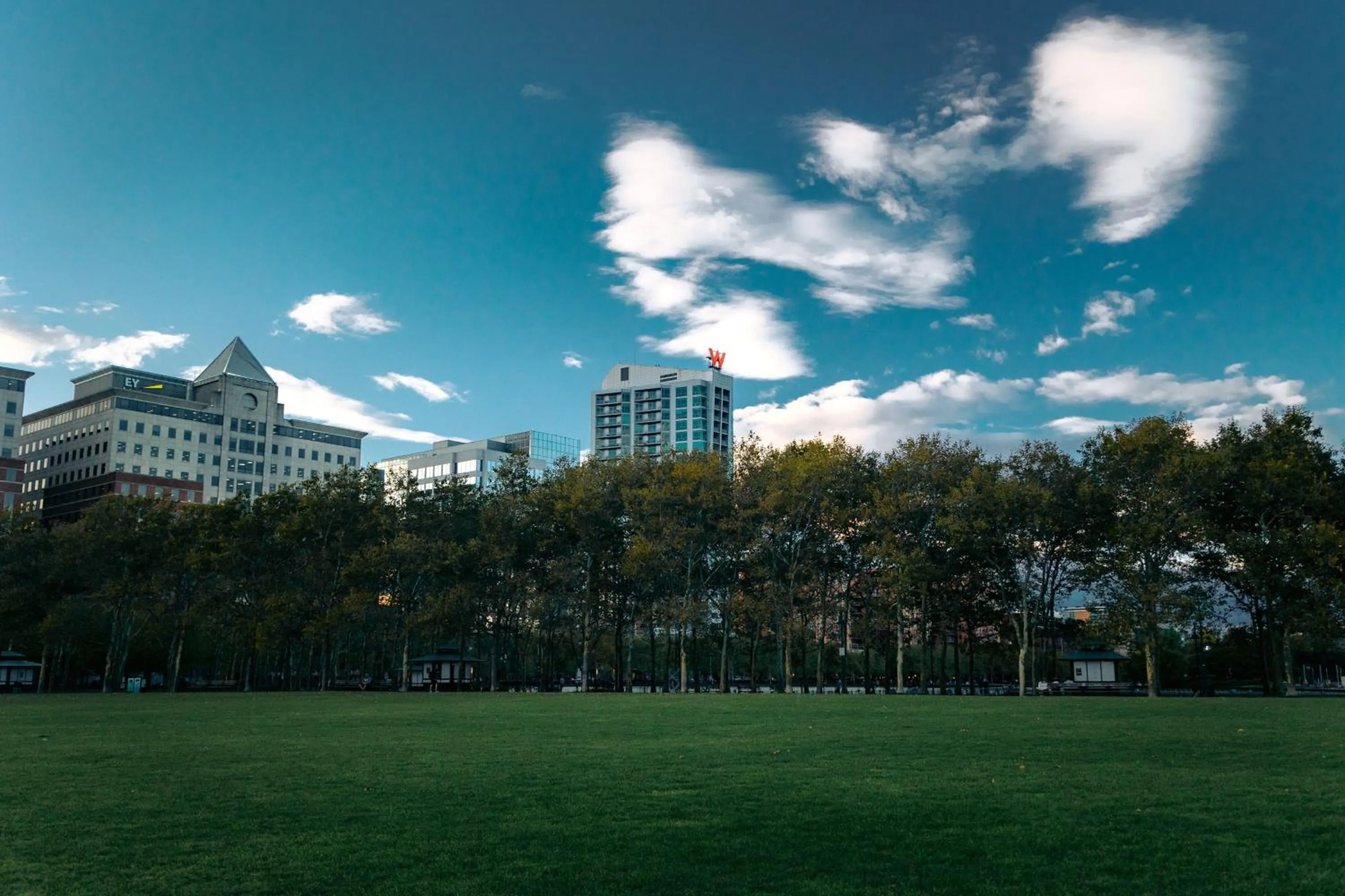 View (from property/room) in W Hoboken