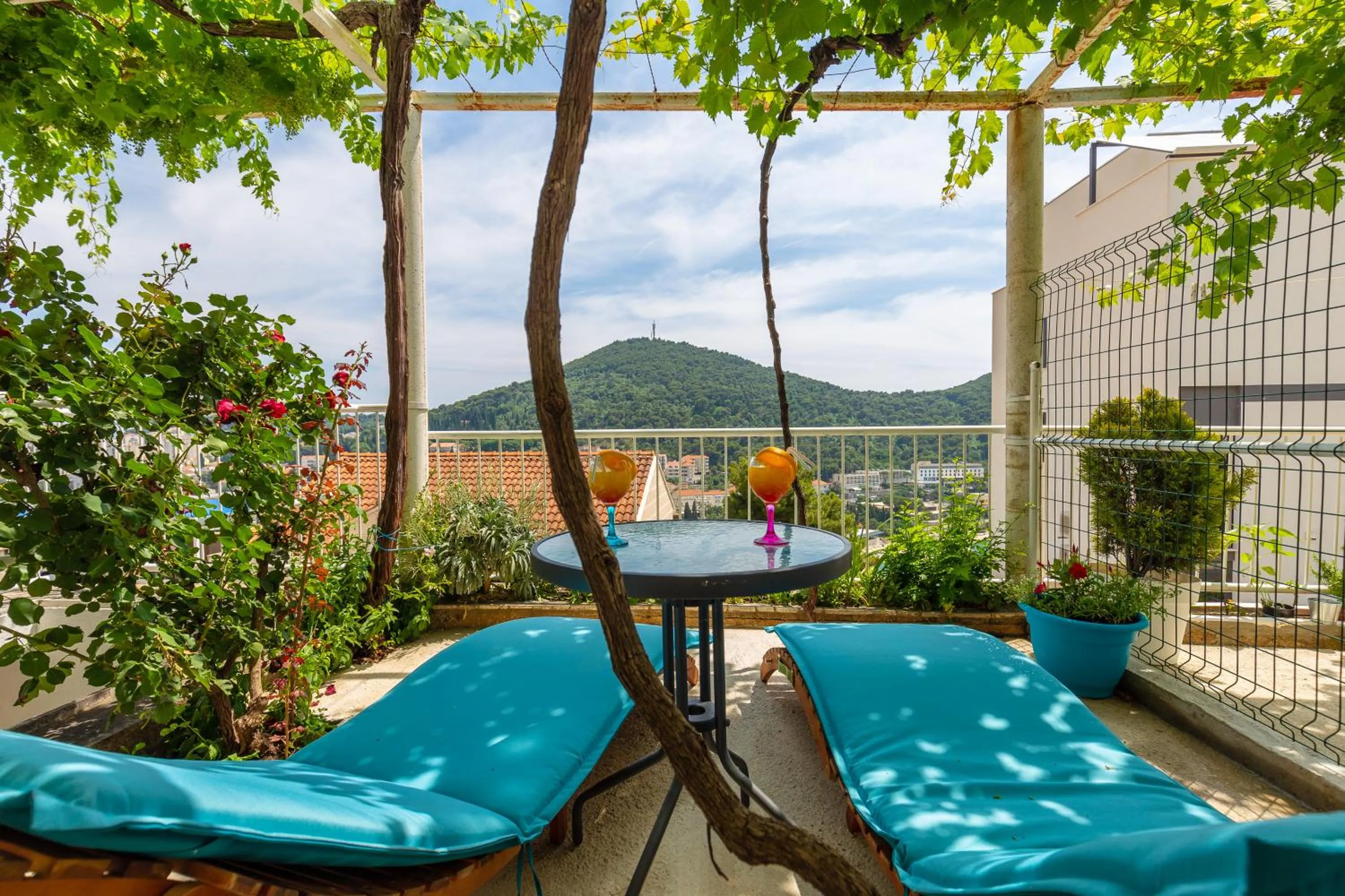 Patio in Apartments Zore Glavinić