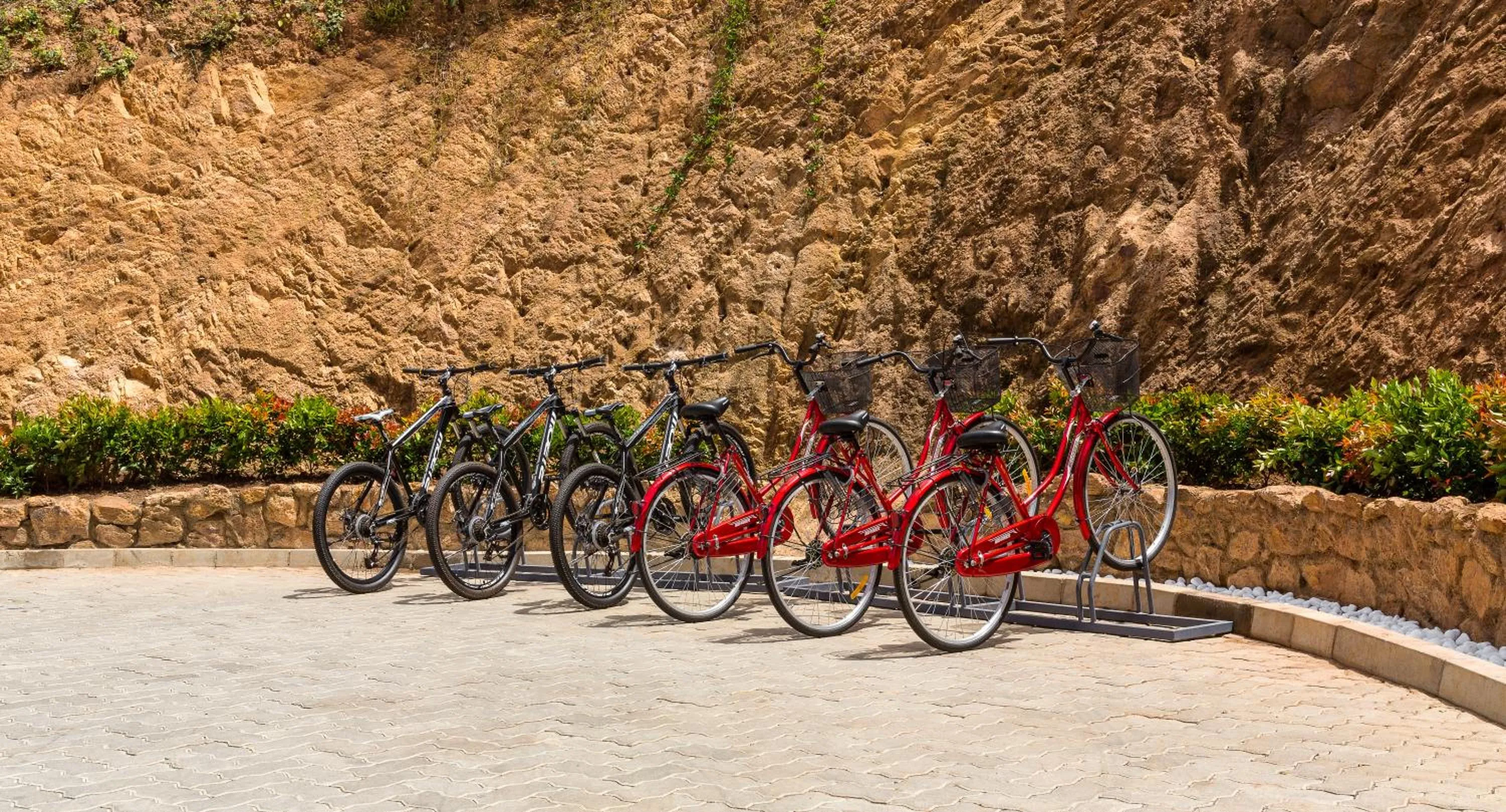 Activities in Anasa Wellness Resort