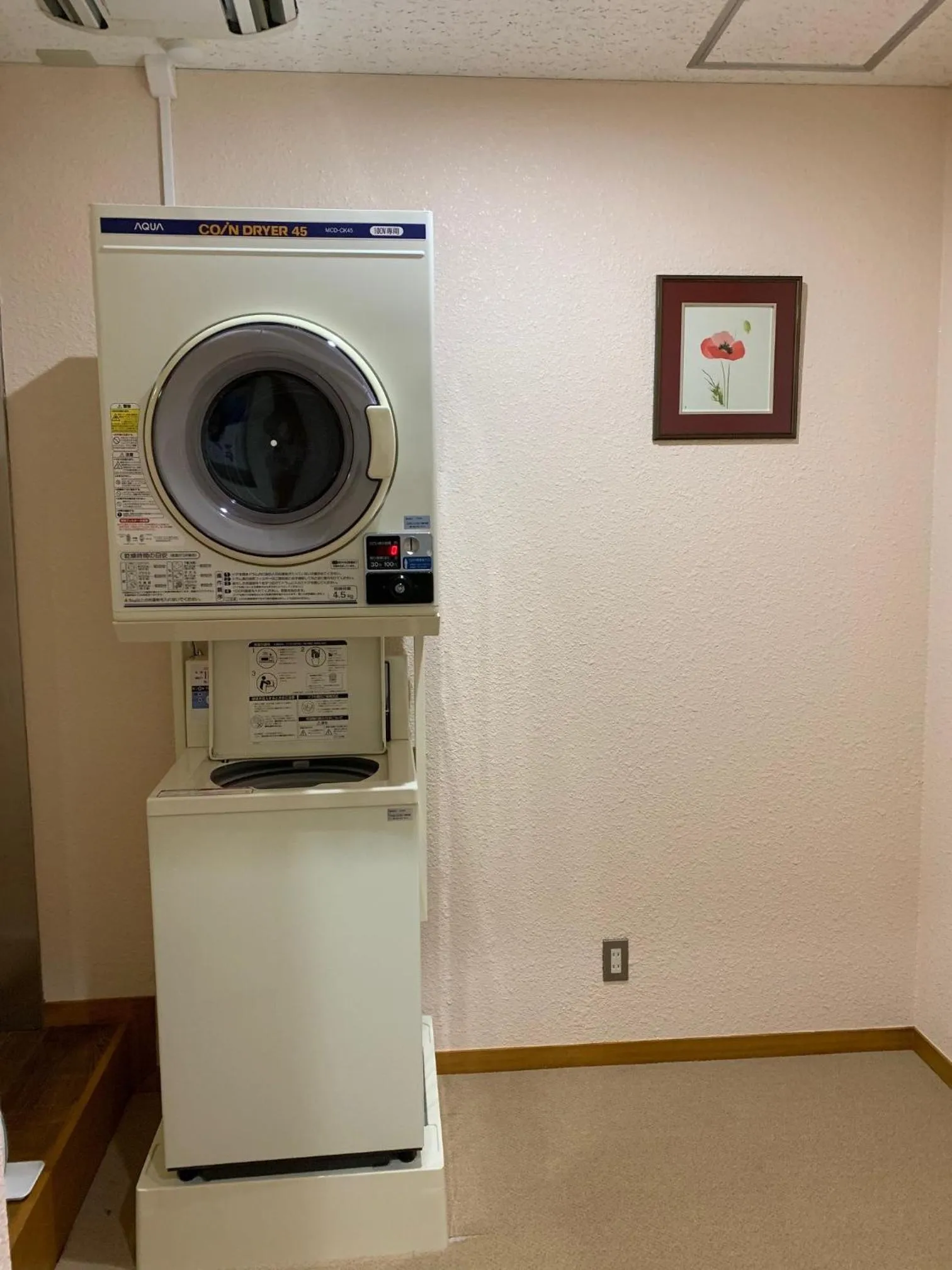 Lake View Inawashiro