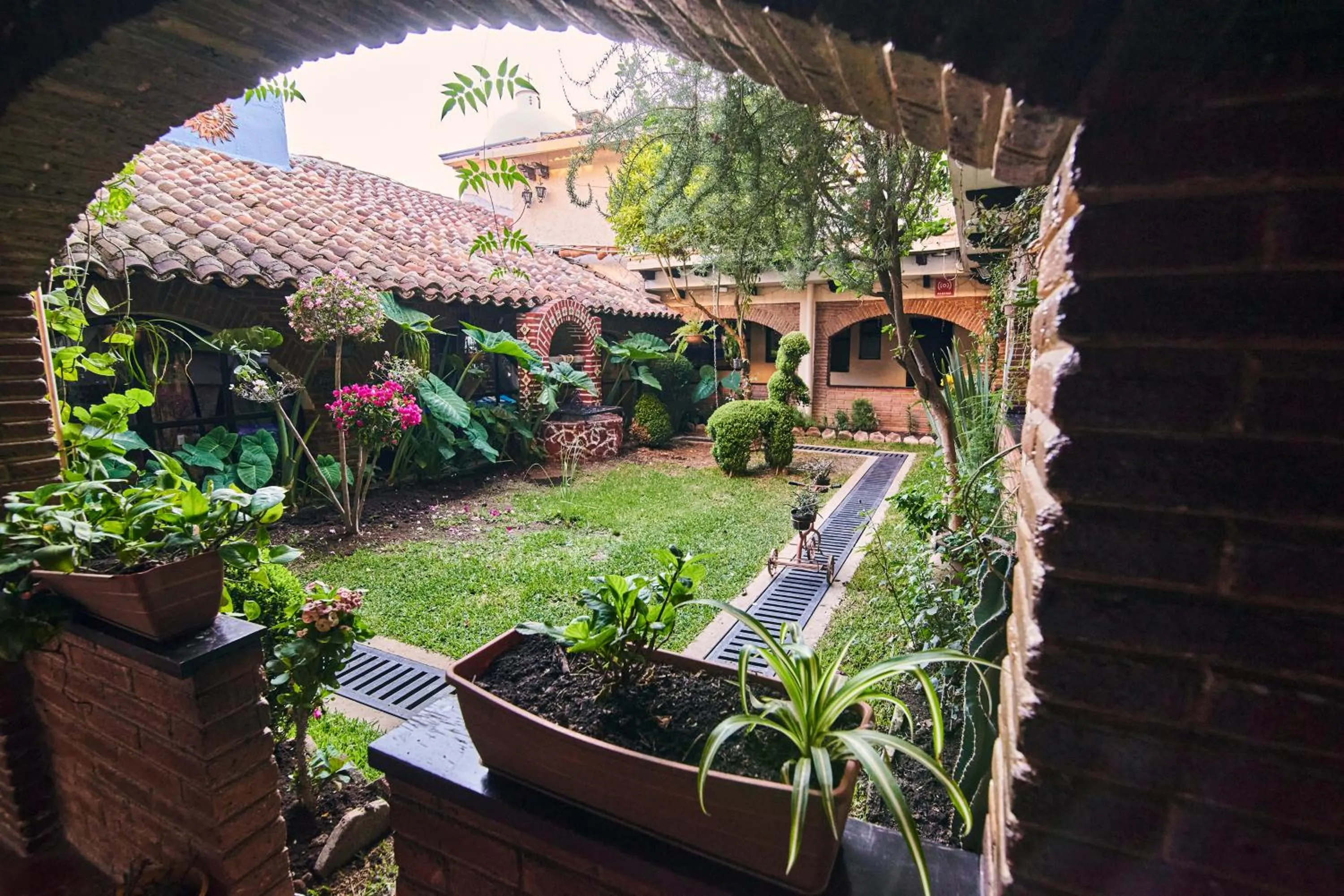 Garden in Hotel Palacio de Moctezuma