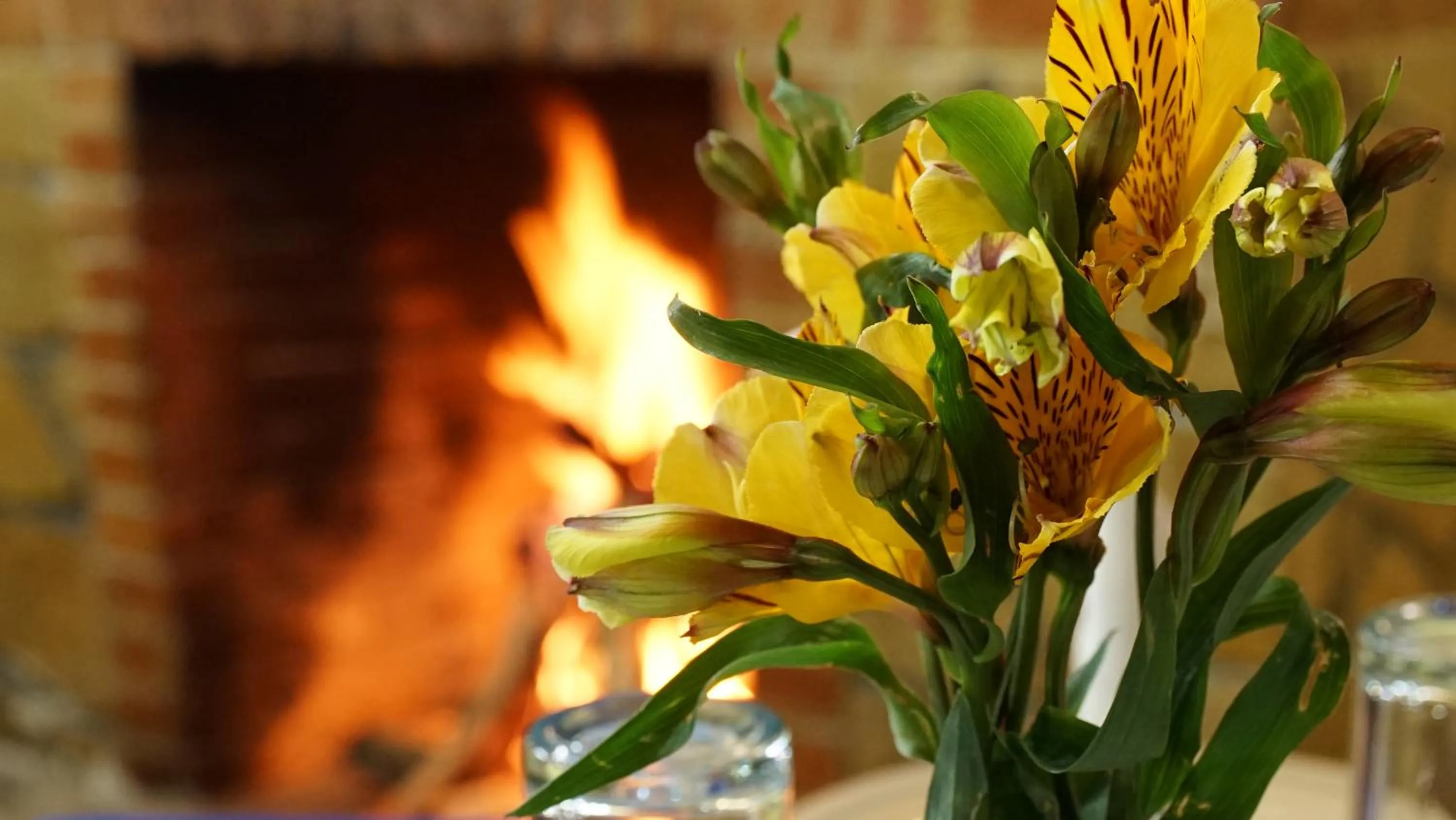 Restaurant/places to eat in Hotel Palacio de Moctezuma