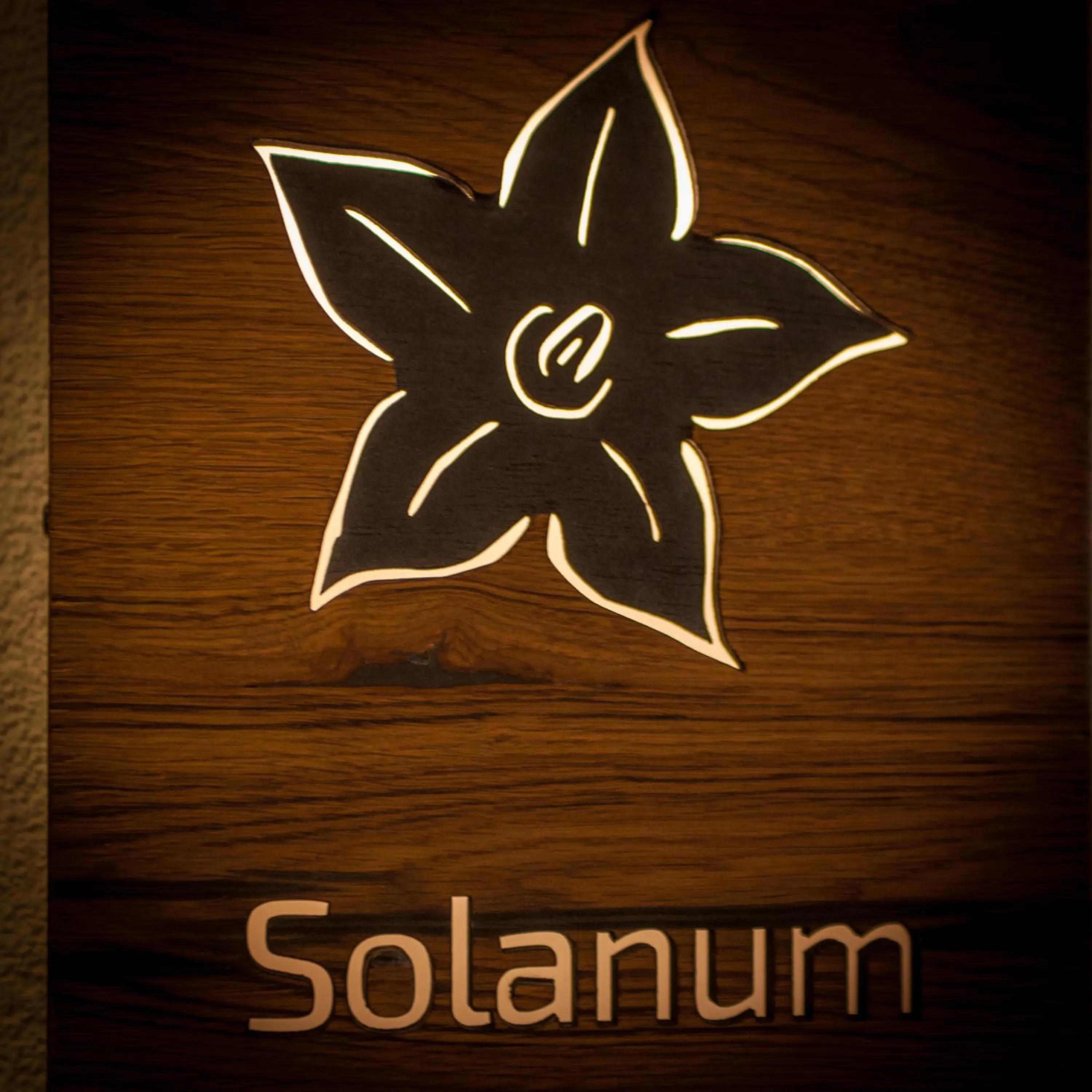 Decorative detail in Appartement Hotel Erlhof Deluxe