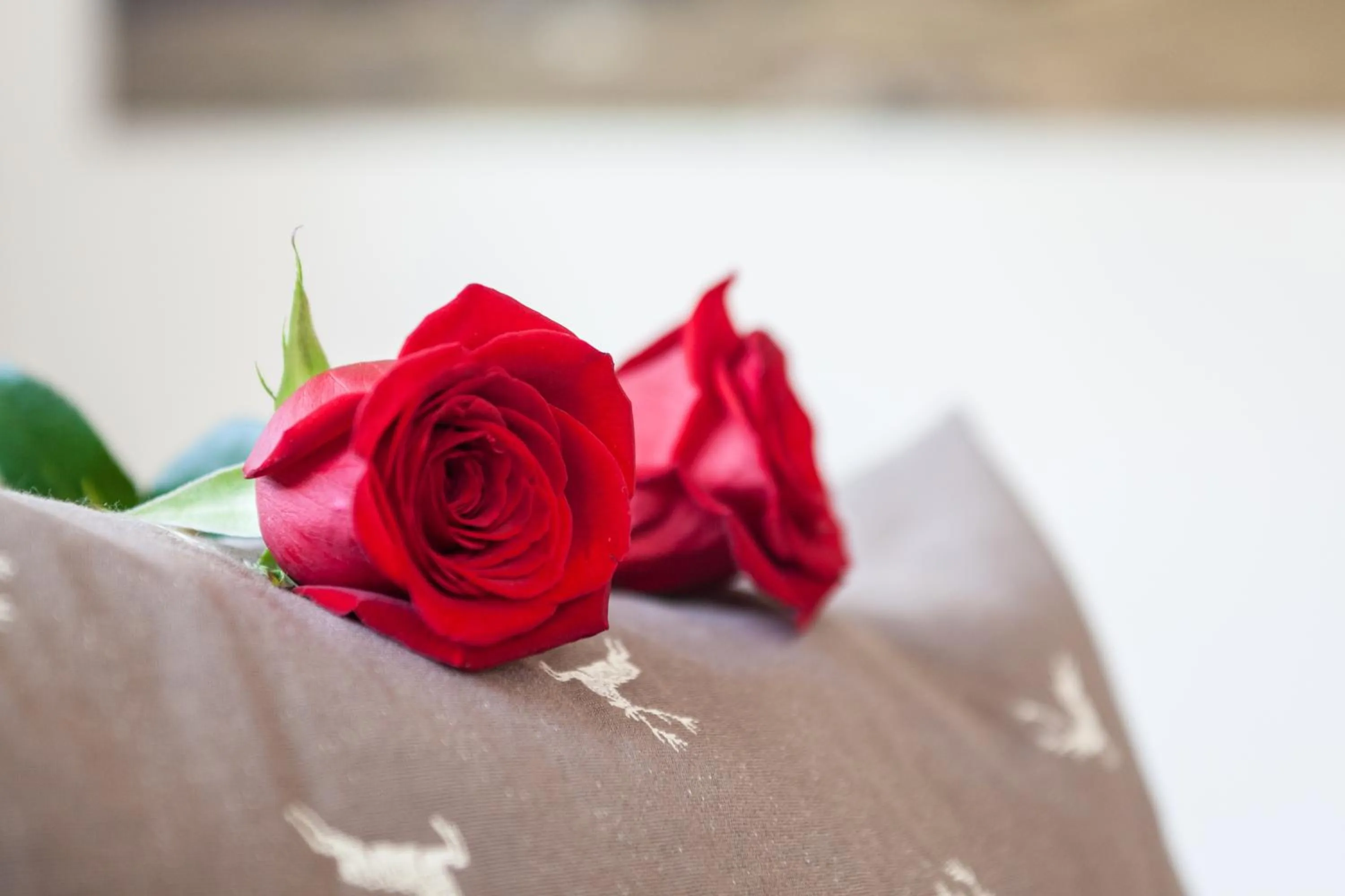 Decorative detail in Appartement Hotel Erlhof Deluxe