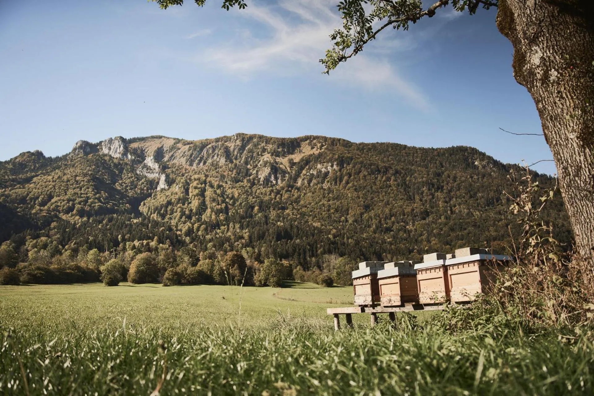 Natural landscape in Rait´ner Wirt