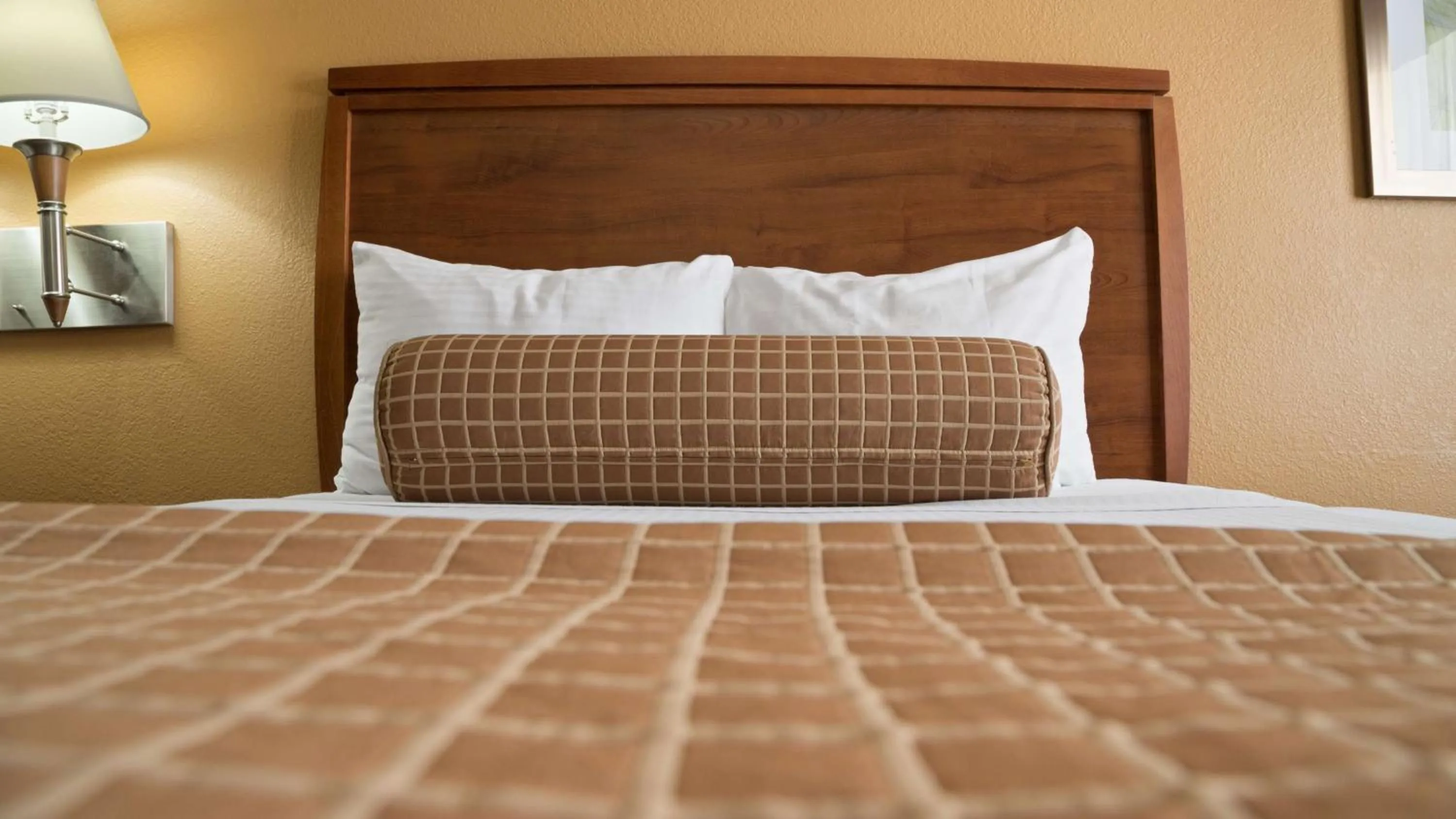 Photo of the whole room, Bed in Best Western Angleton Inn