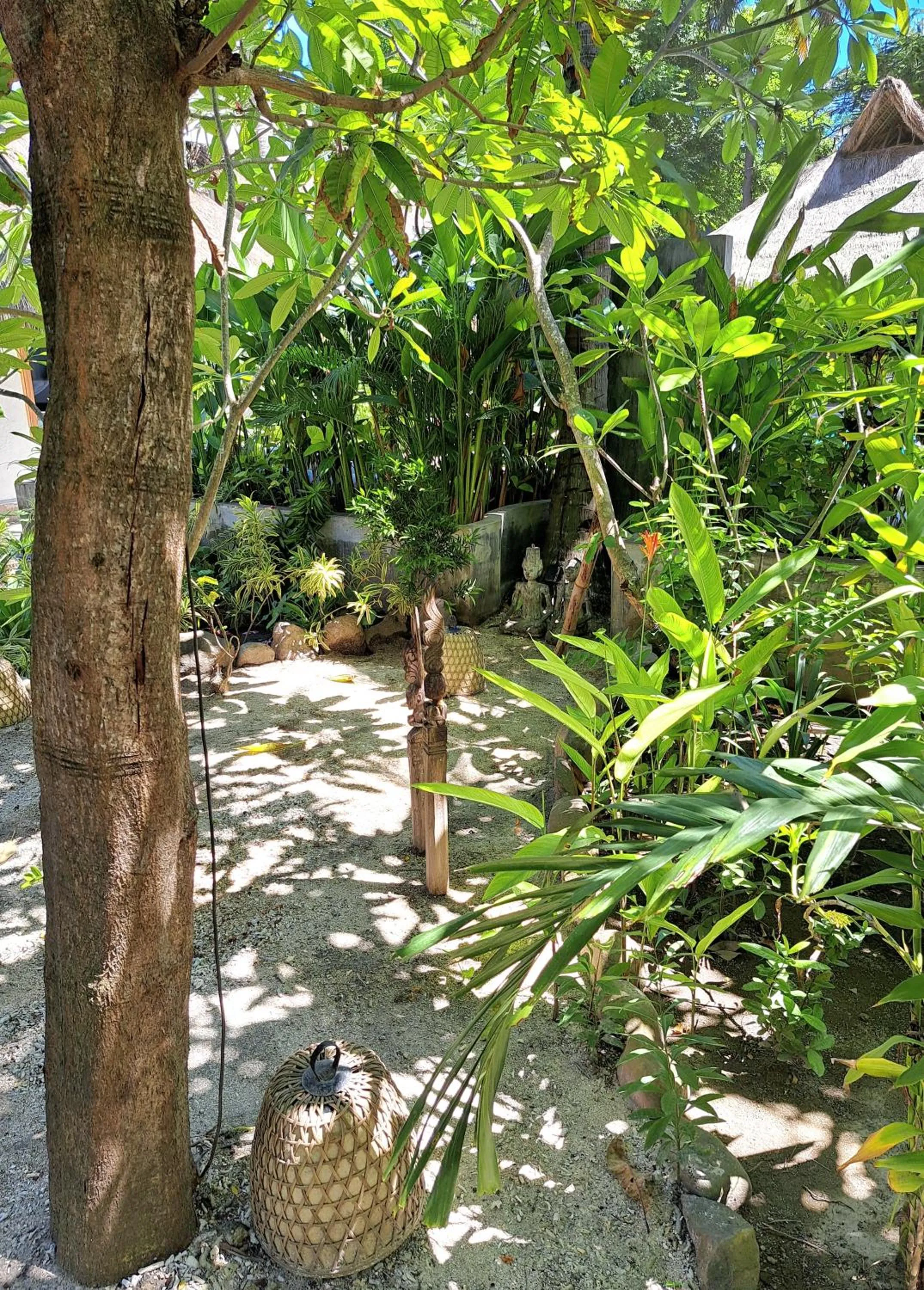 Natural landscape in Eden Eco Resort