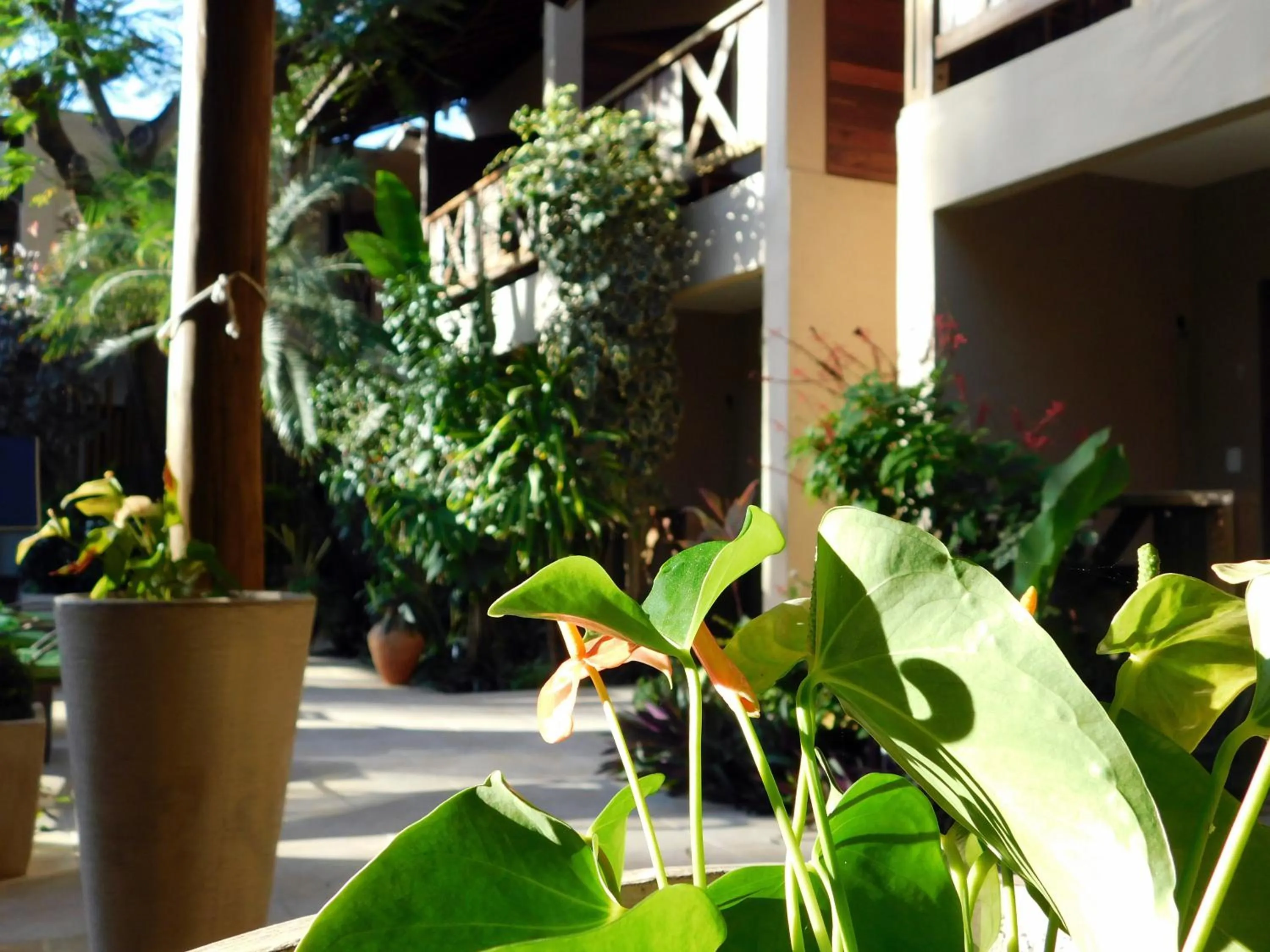 Other in Pousada CasAlice