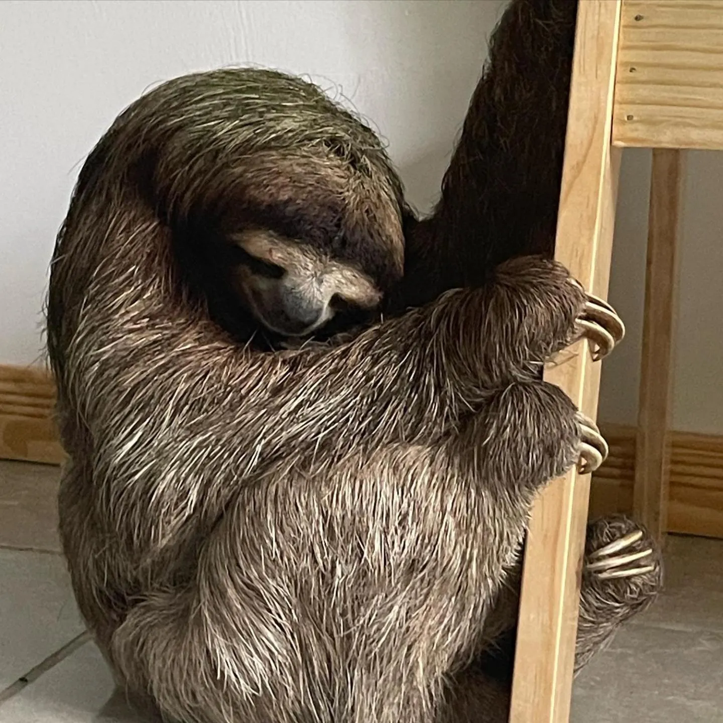 Hotel Indalo adults only