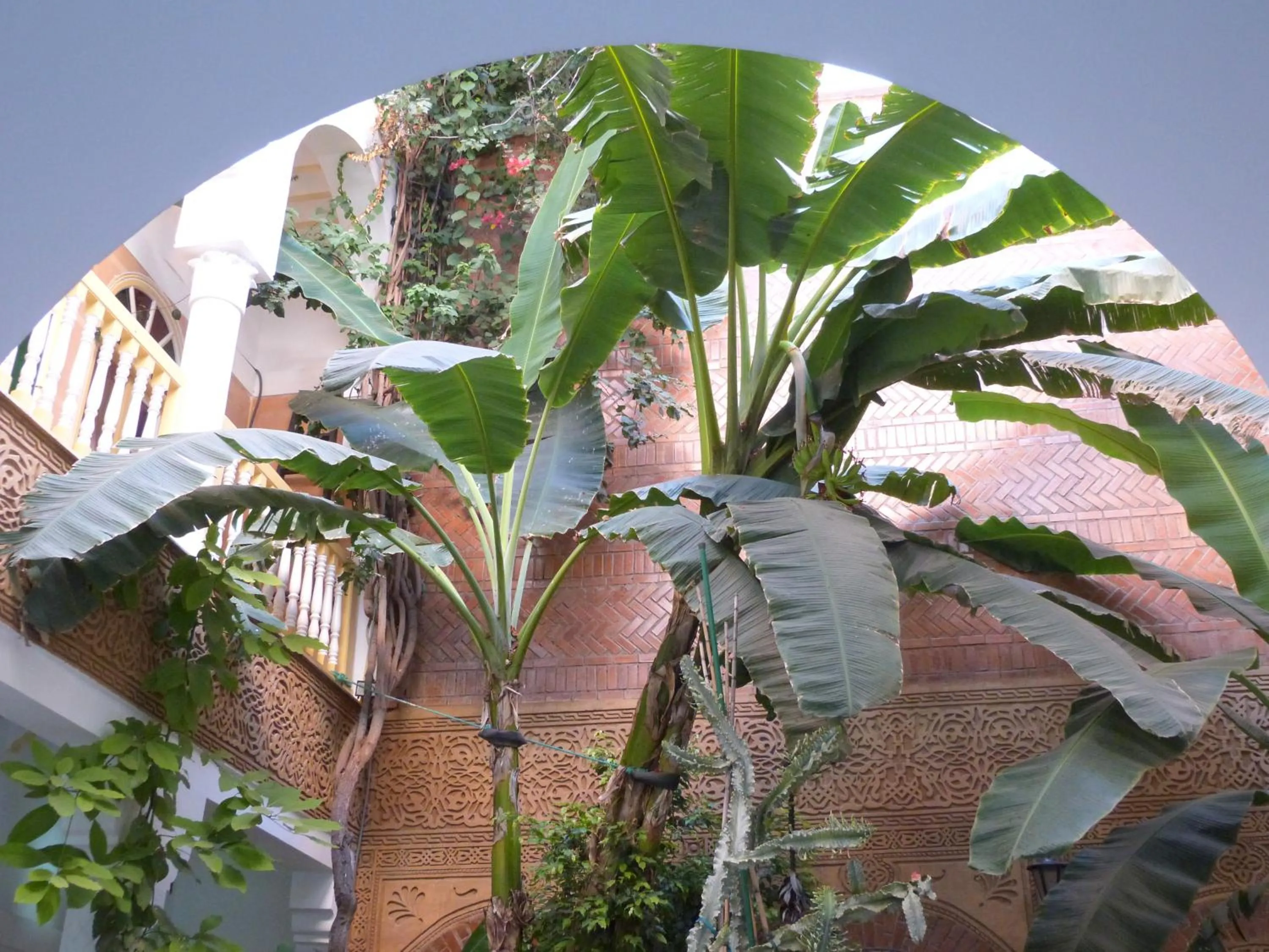 Lobby or reception in Riad Beij