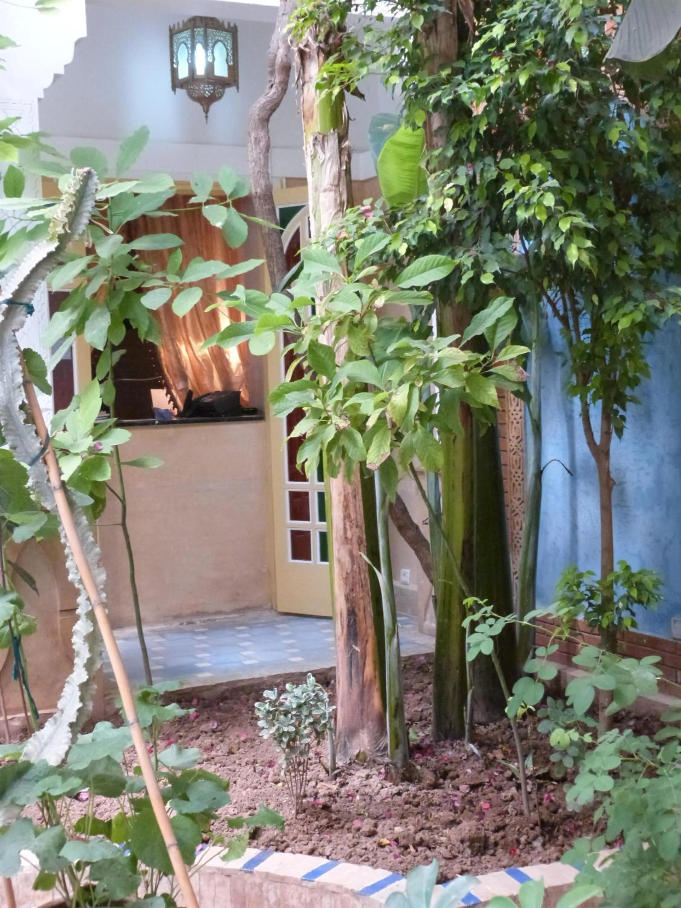 Lobby or reception in Riad Beij