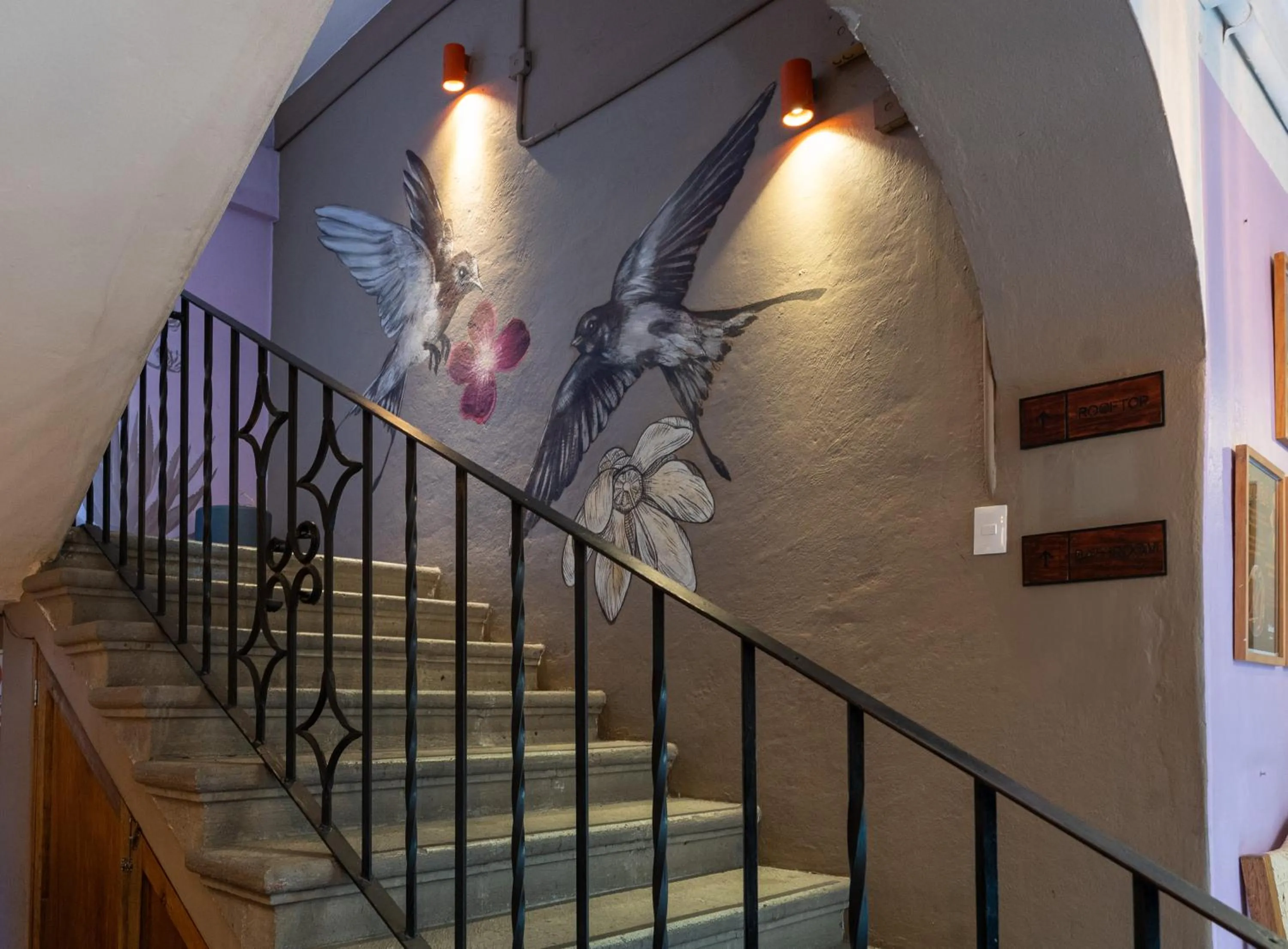 Property building in Selina Oaxaca