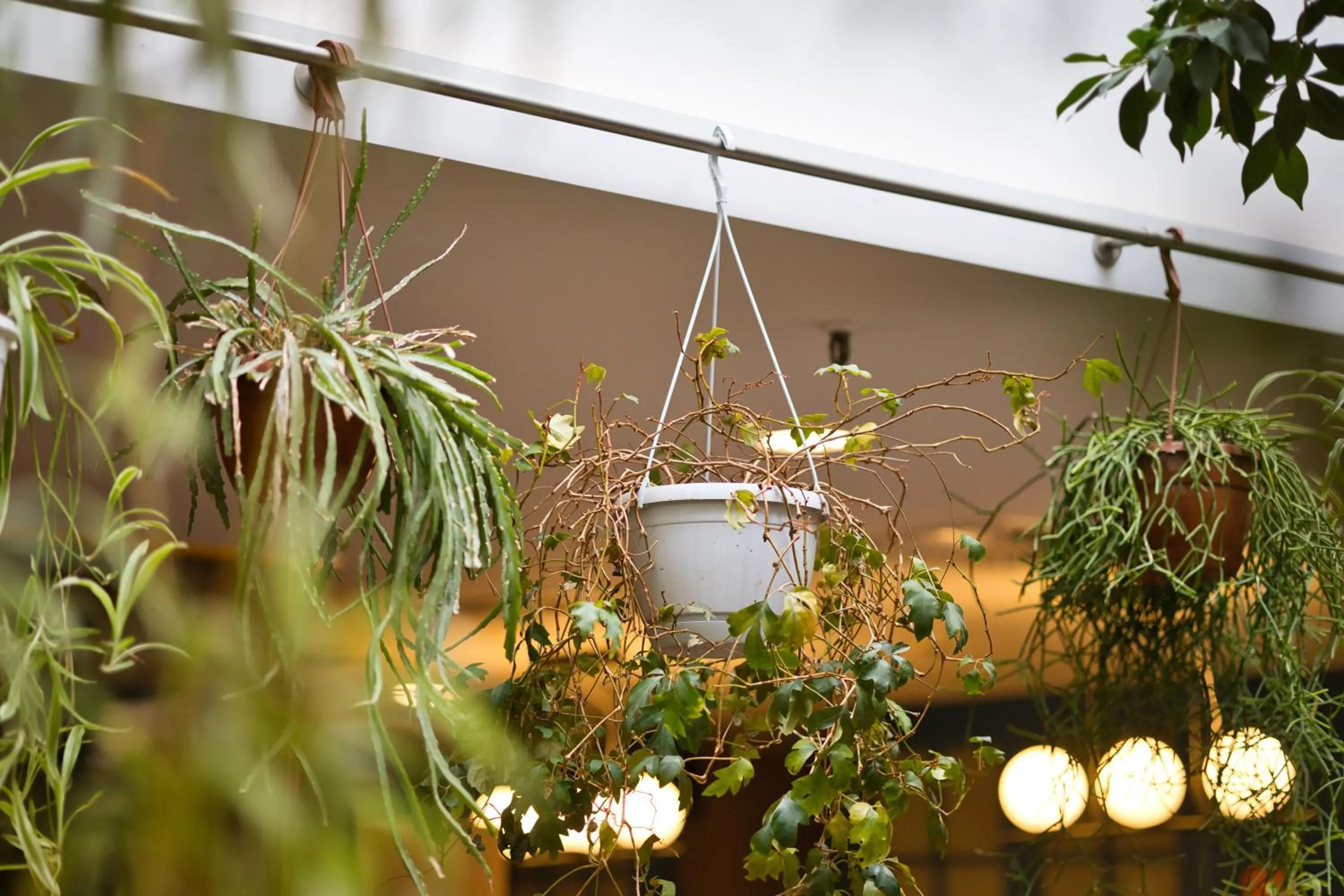 Decorative detail in B&B HOTEL Brussels Centre Louise