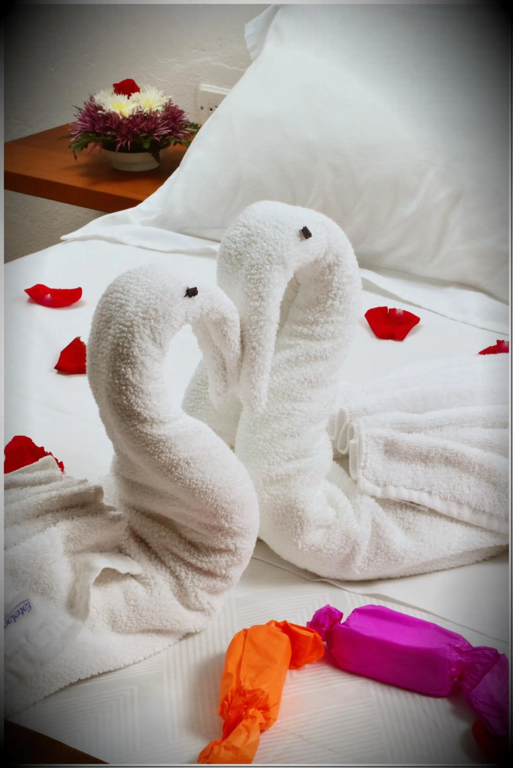 Other in Hotel Antonio Nariño