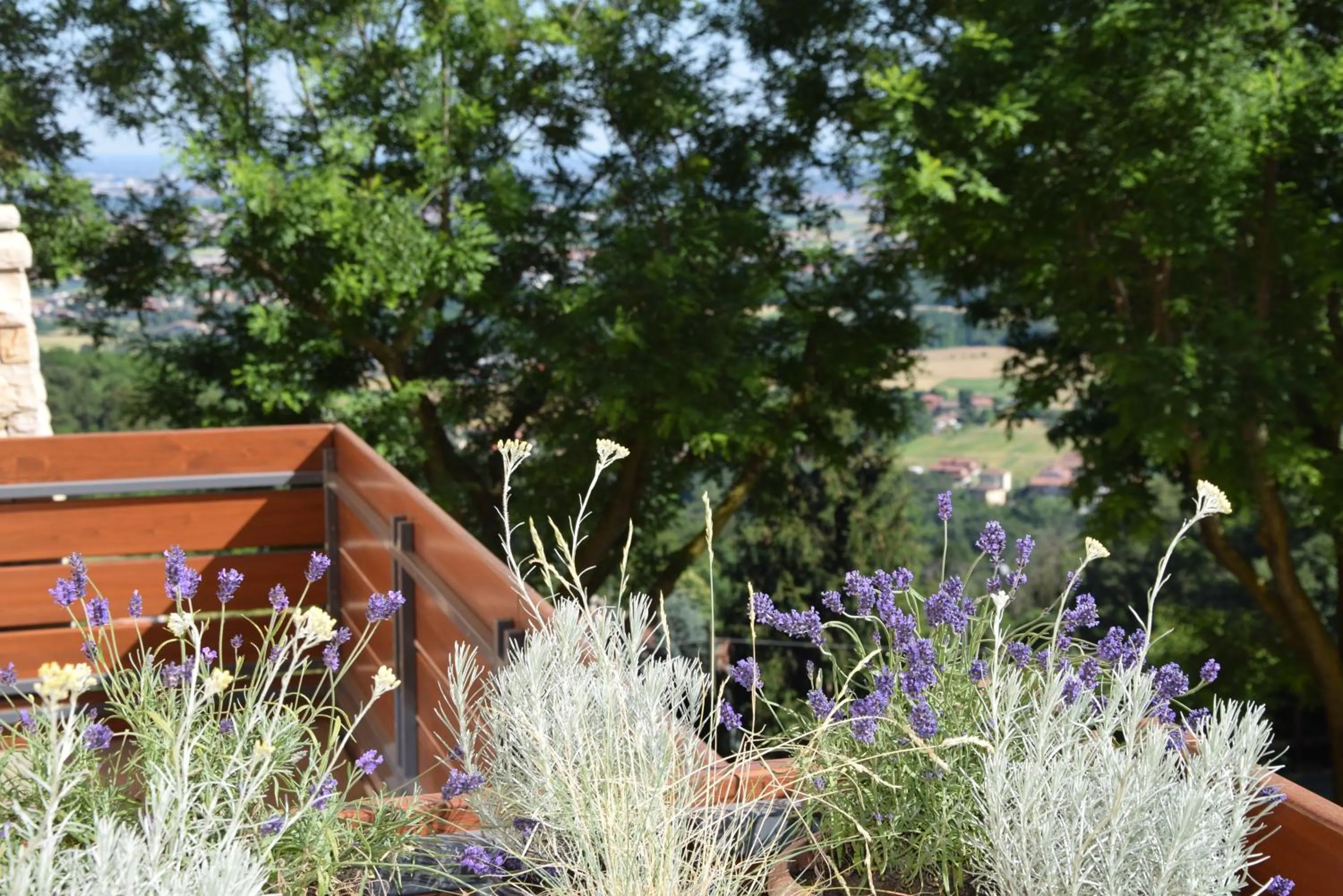 Balcony/Terrace in Al-Colle