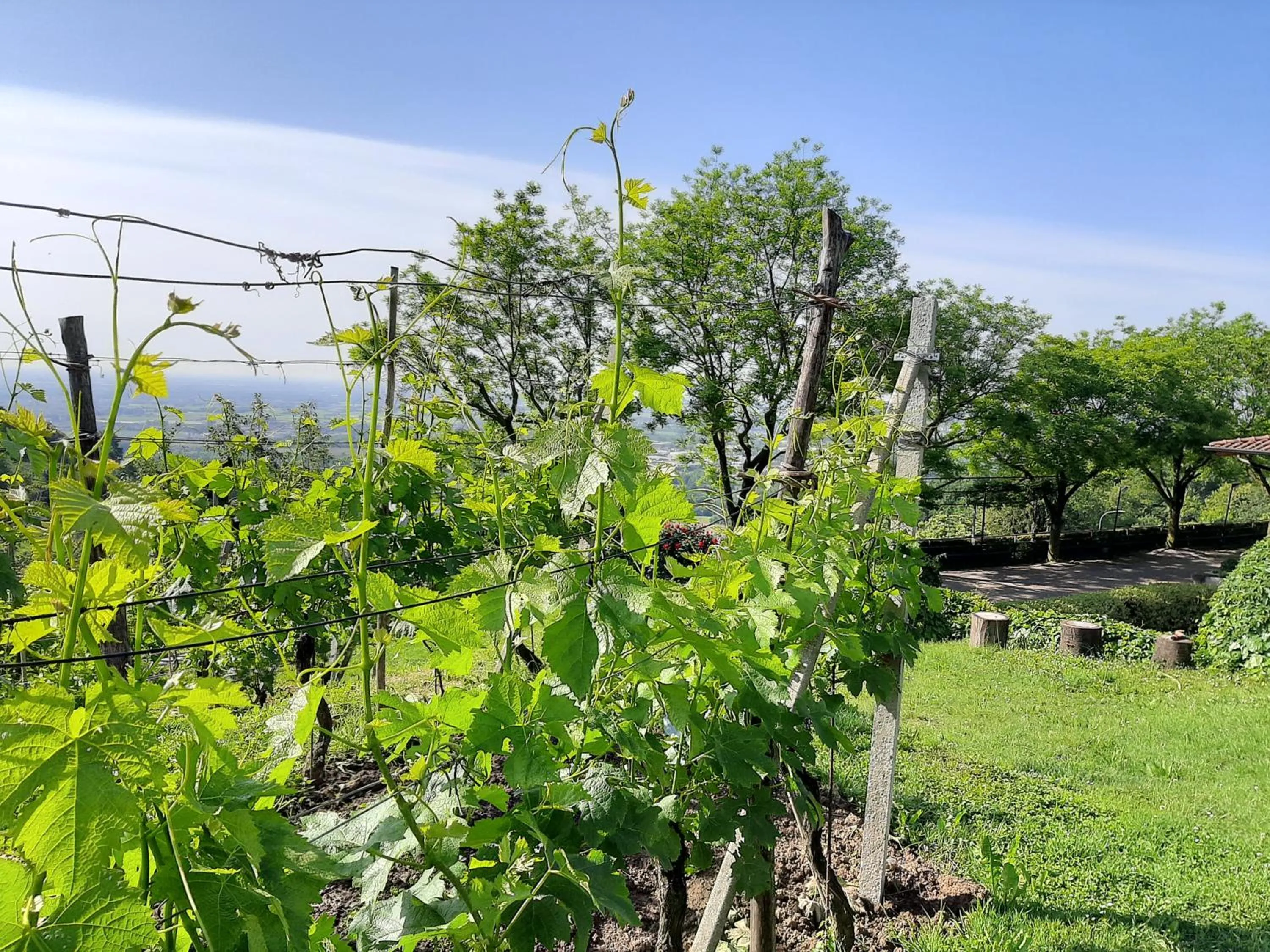 View (from property/room) in Al-Colle