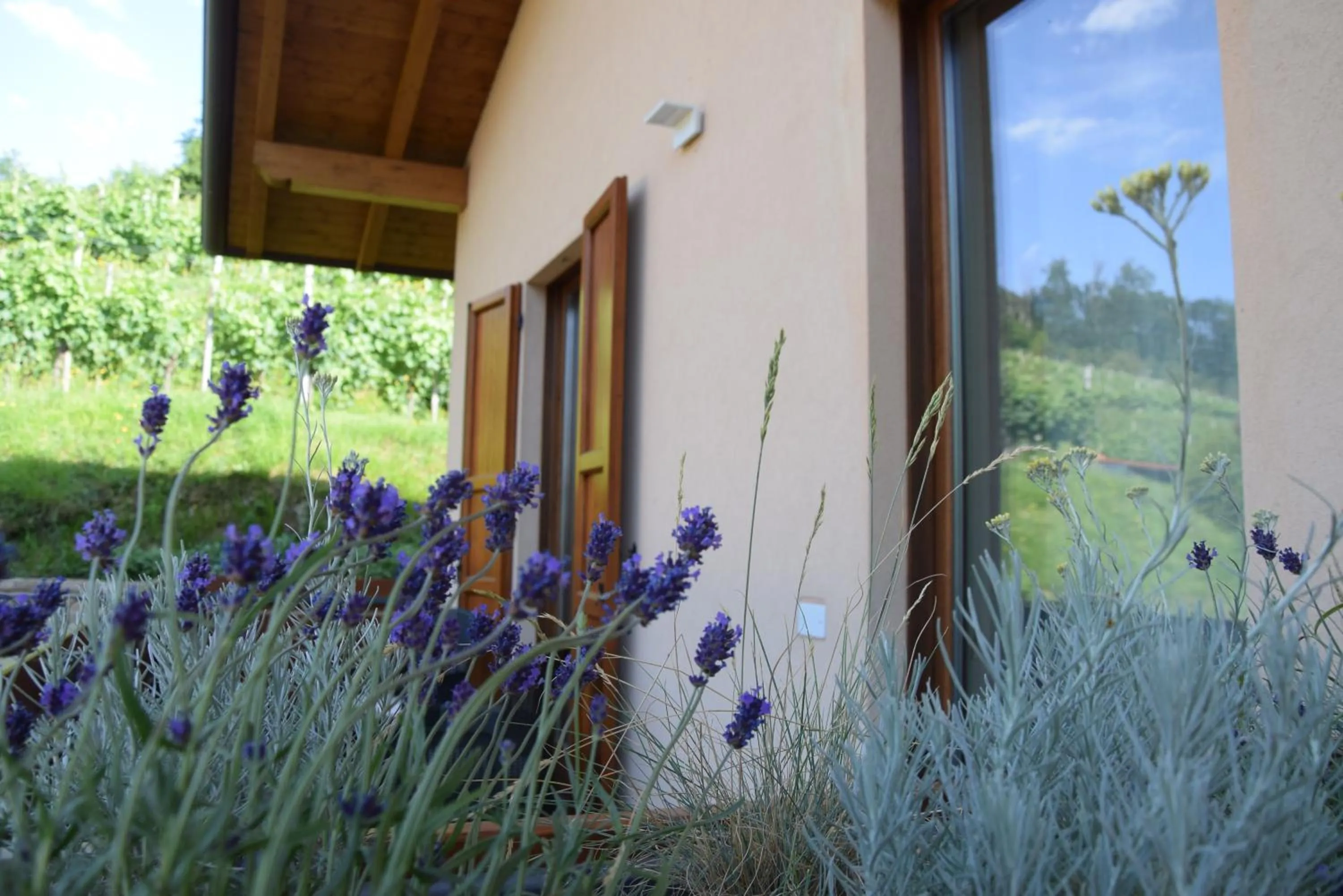 Balcony/Terrace in Al-Colle