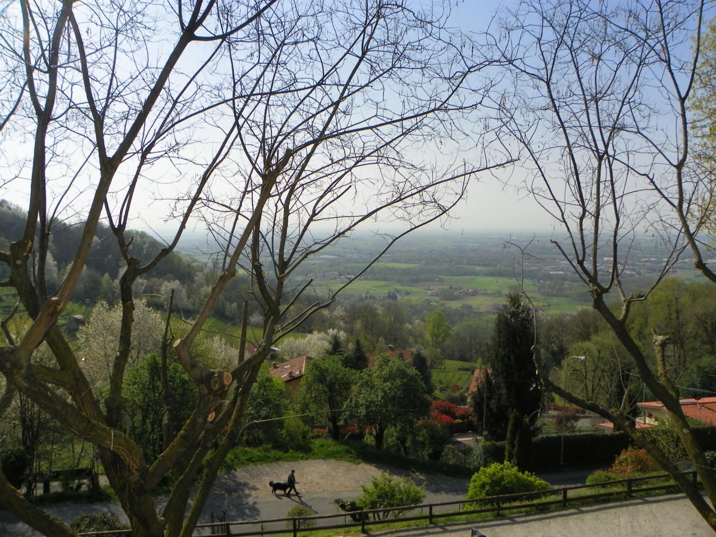 Street view in Al-Colle