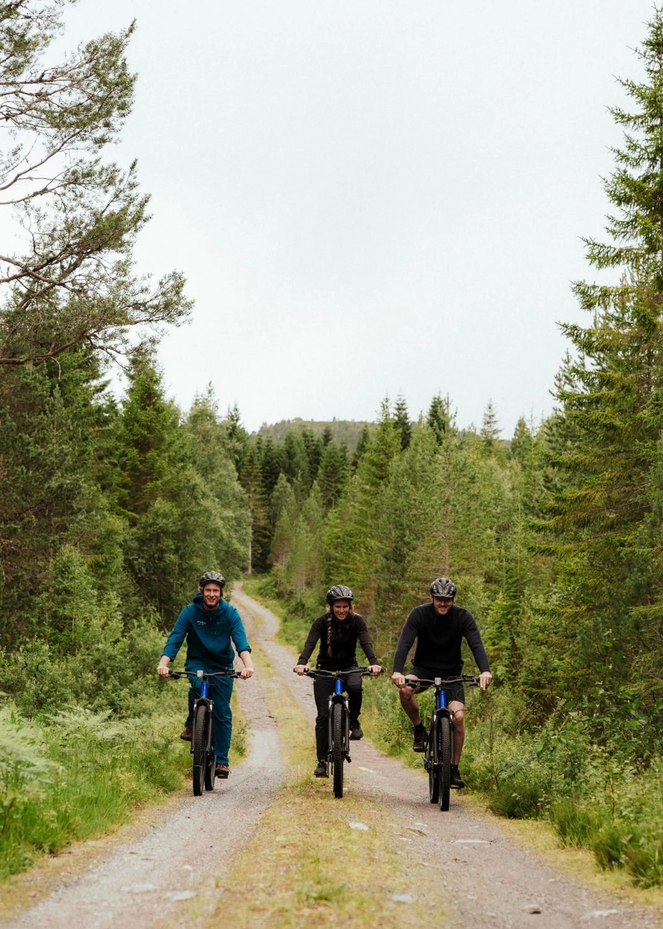 Cycling in Storfjord Hotel