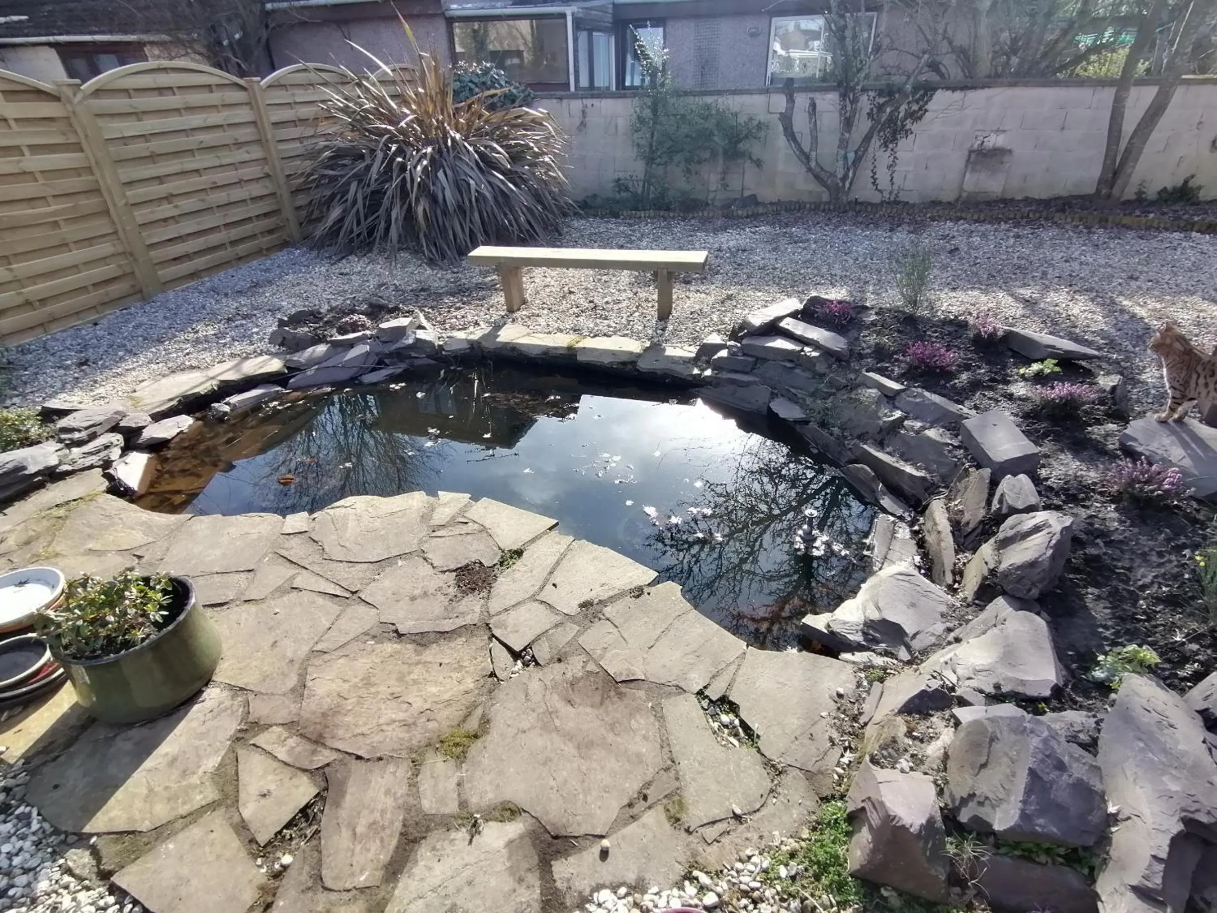 The Coo's Guest House