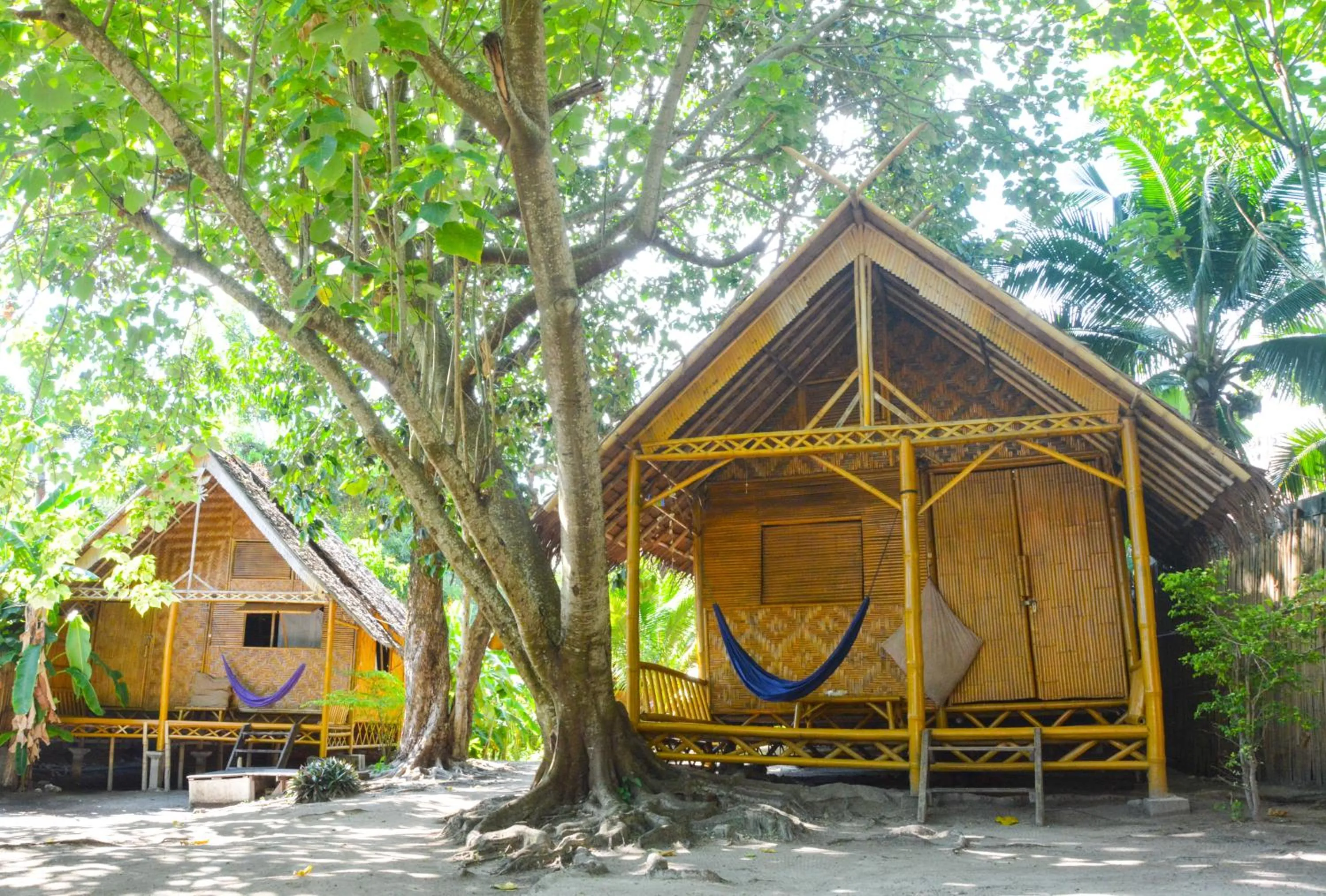 Photo of the whole room in Forra Dive Resort Pattaya Beach