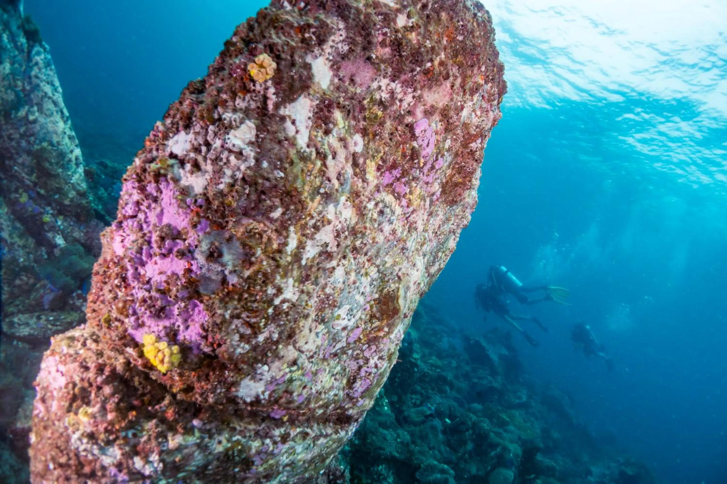 Diving in Forra Dive Resort Pattaya Beach