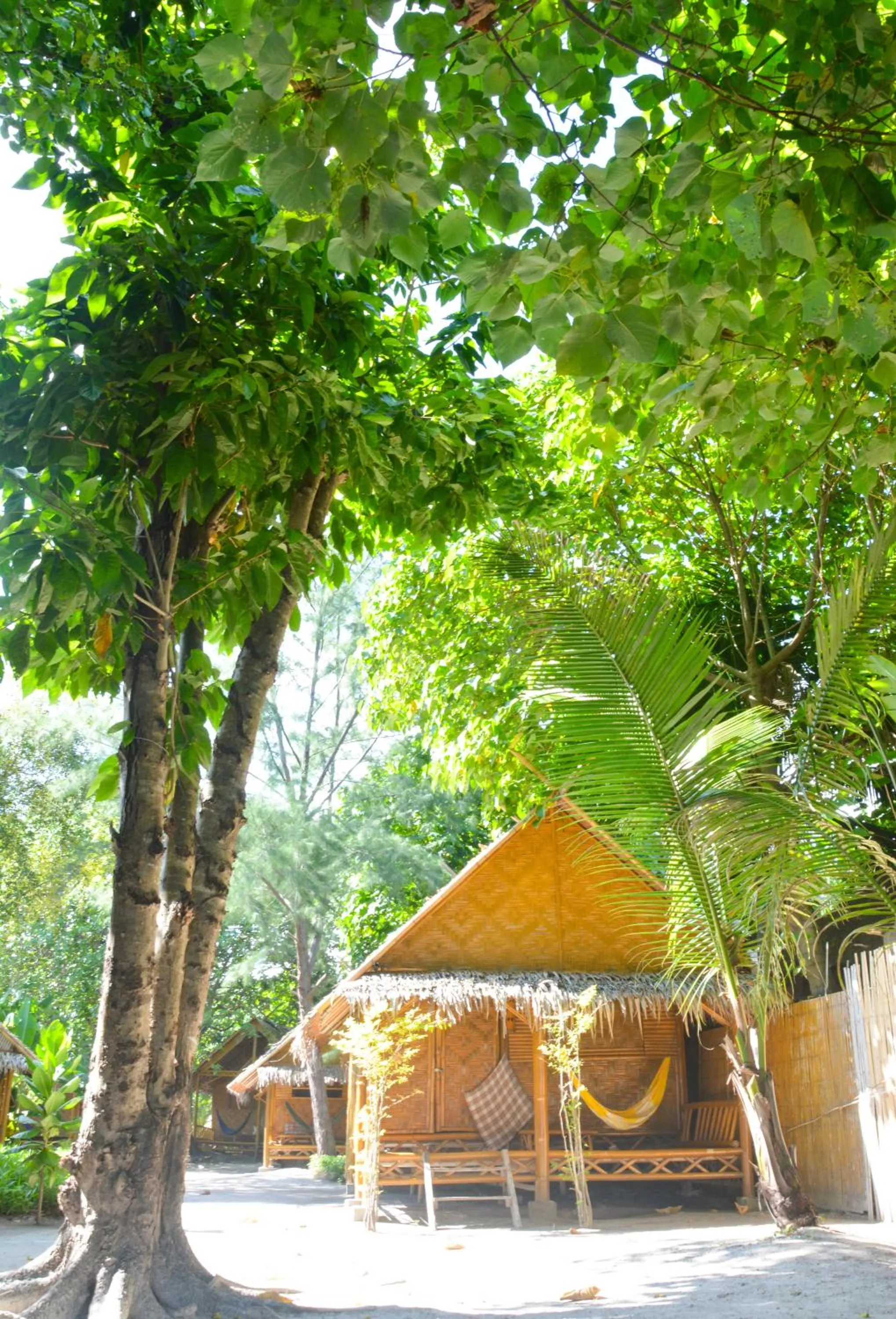 Photo of the whole room in Forra Dive Resort Pattaya Beach
