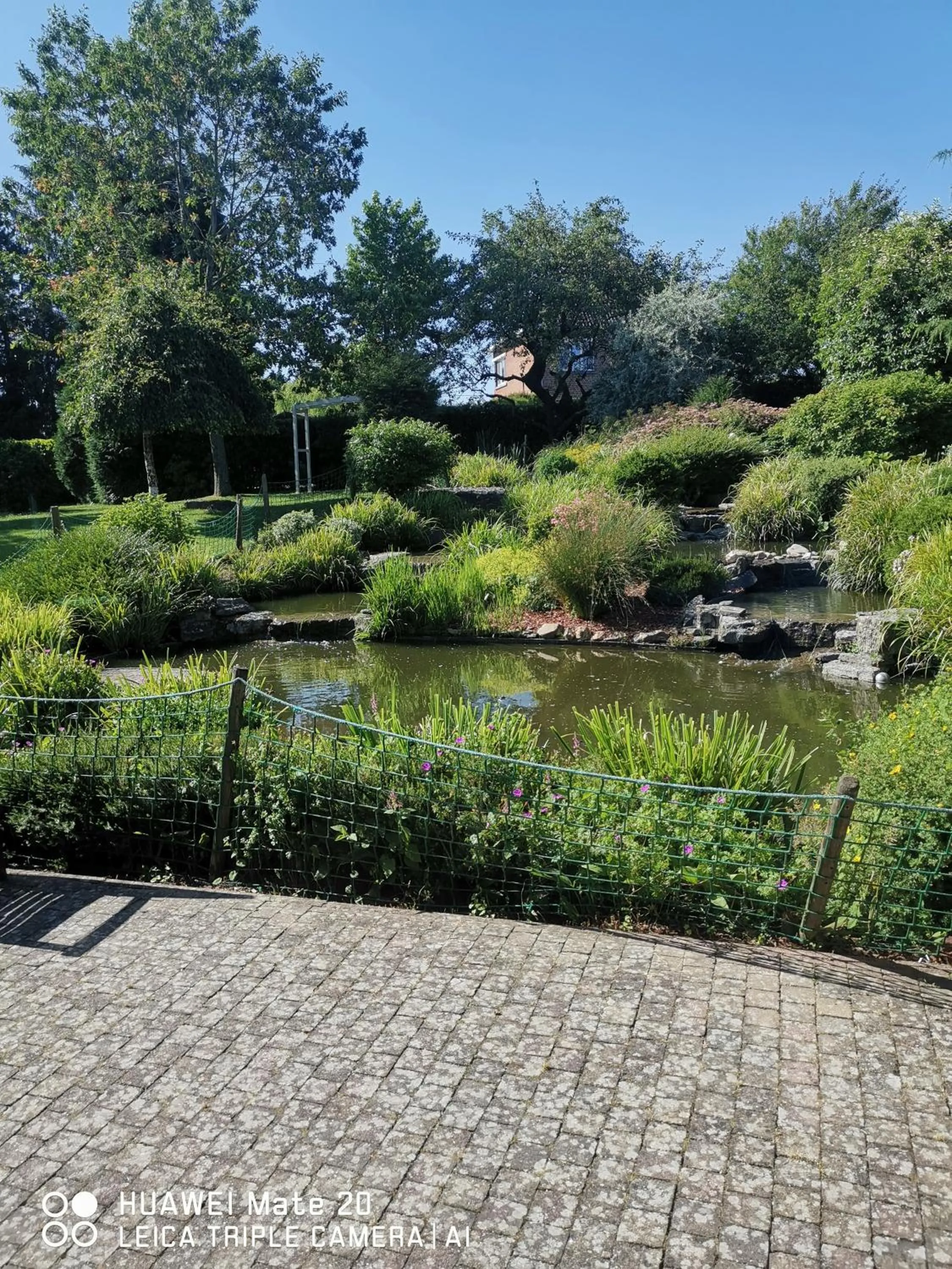 Garden in Hôtel La Côte d'Or