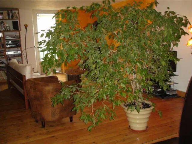 Chambres d'hôtes La Rêvaillante