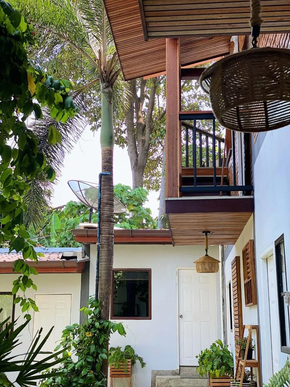 Garden in The Reef Hotel & Studios