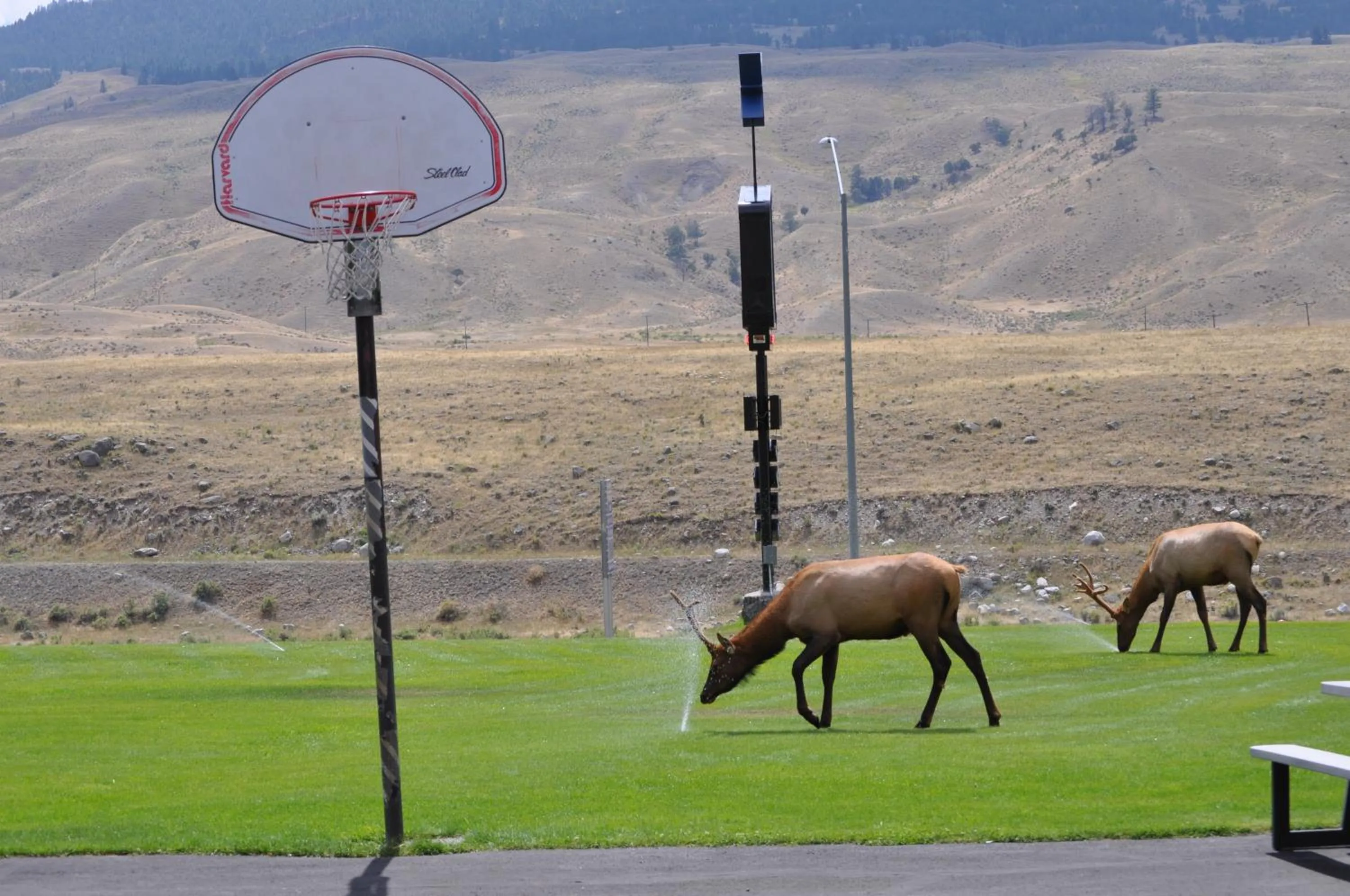 Mountain view in Yellowstone Village Inn and Suites