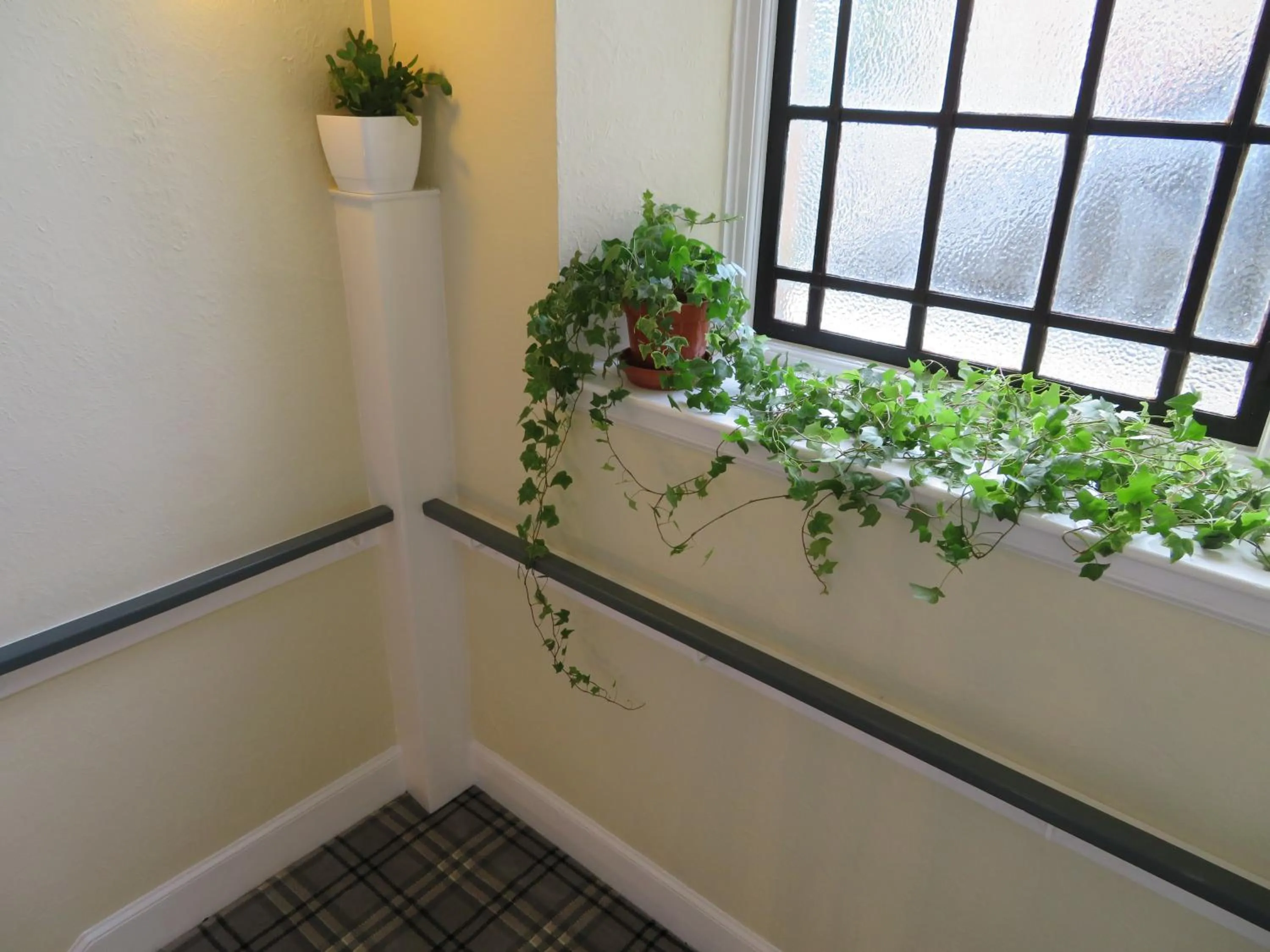 Duthus Lodge Guest House