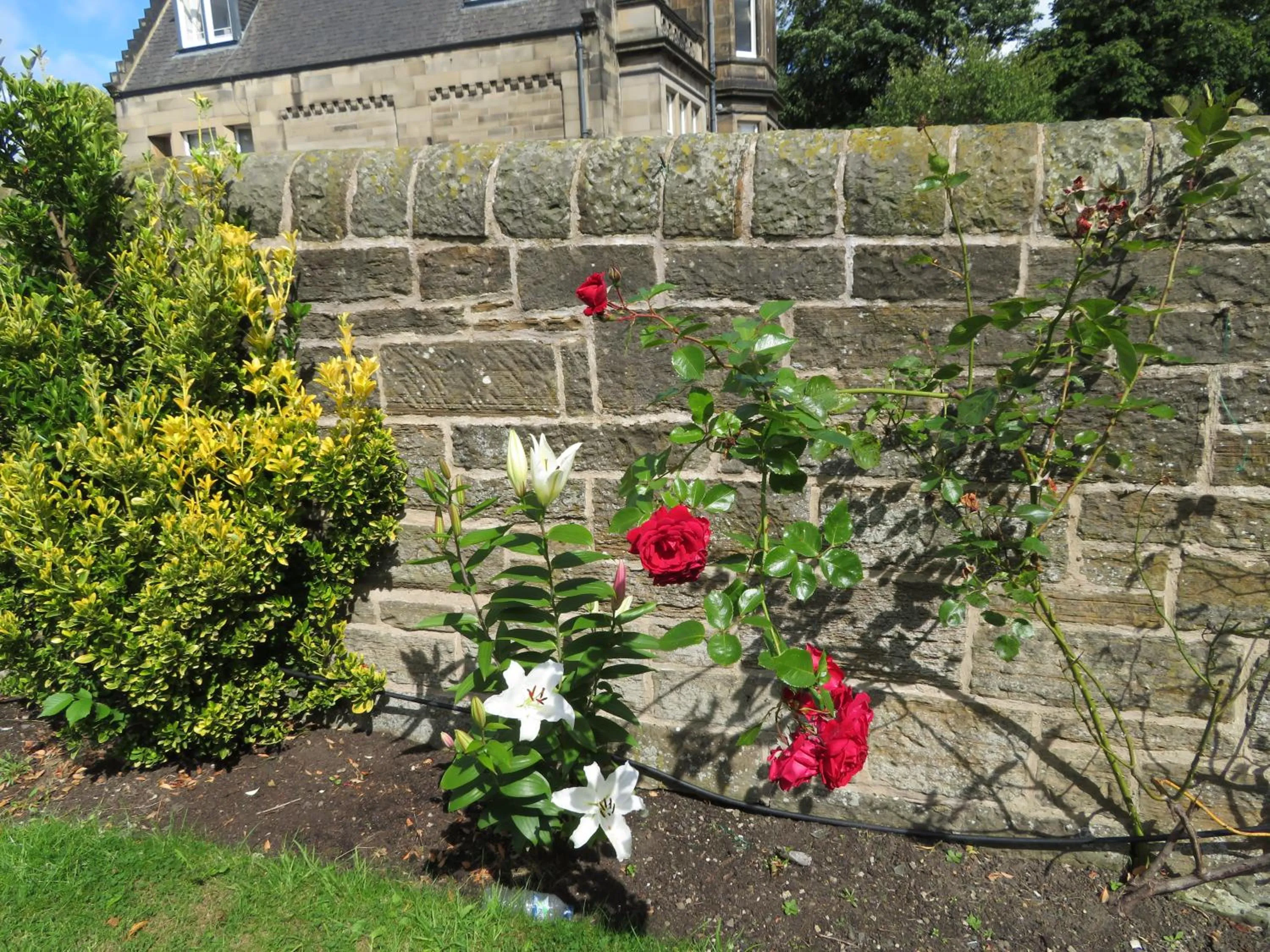 Duthus Lodge Guest House