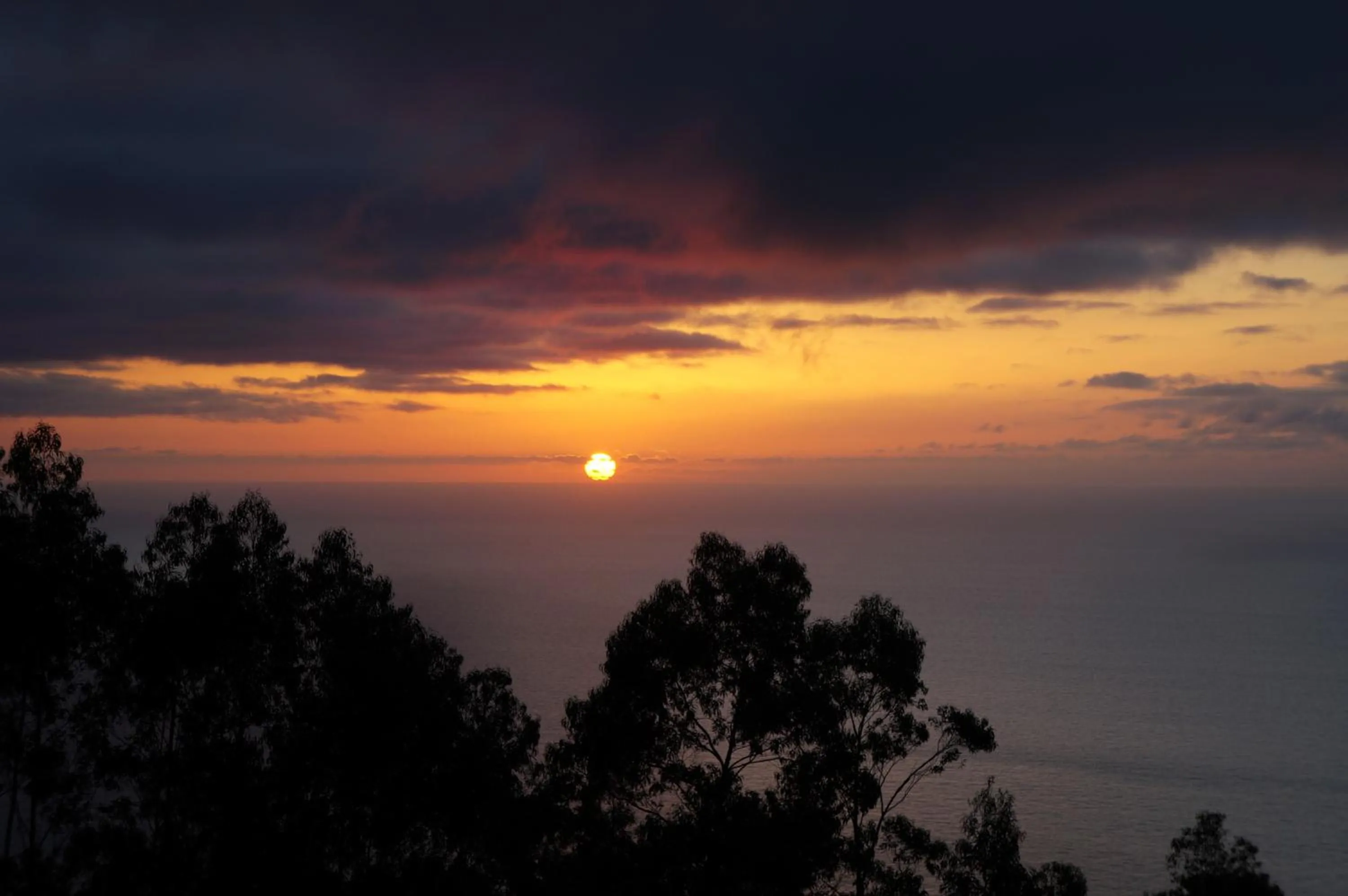 Off site in Casa das Proteas