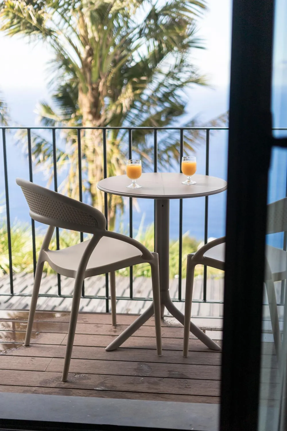 Balcony/Terrace in Casa das Proteas