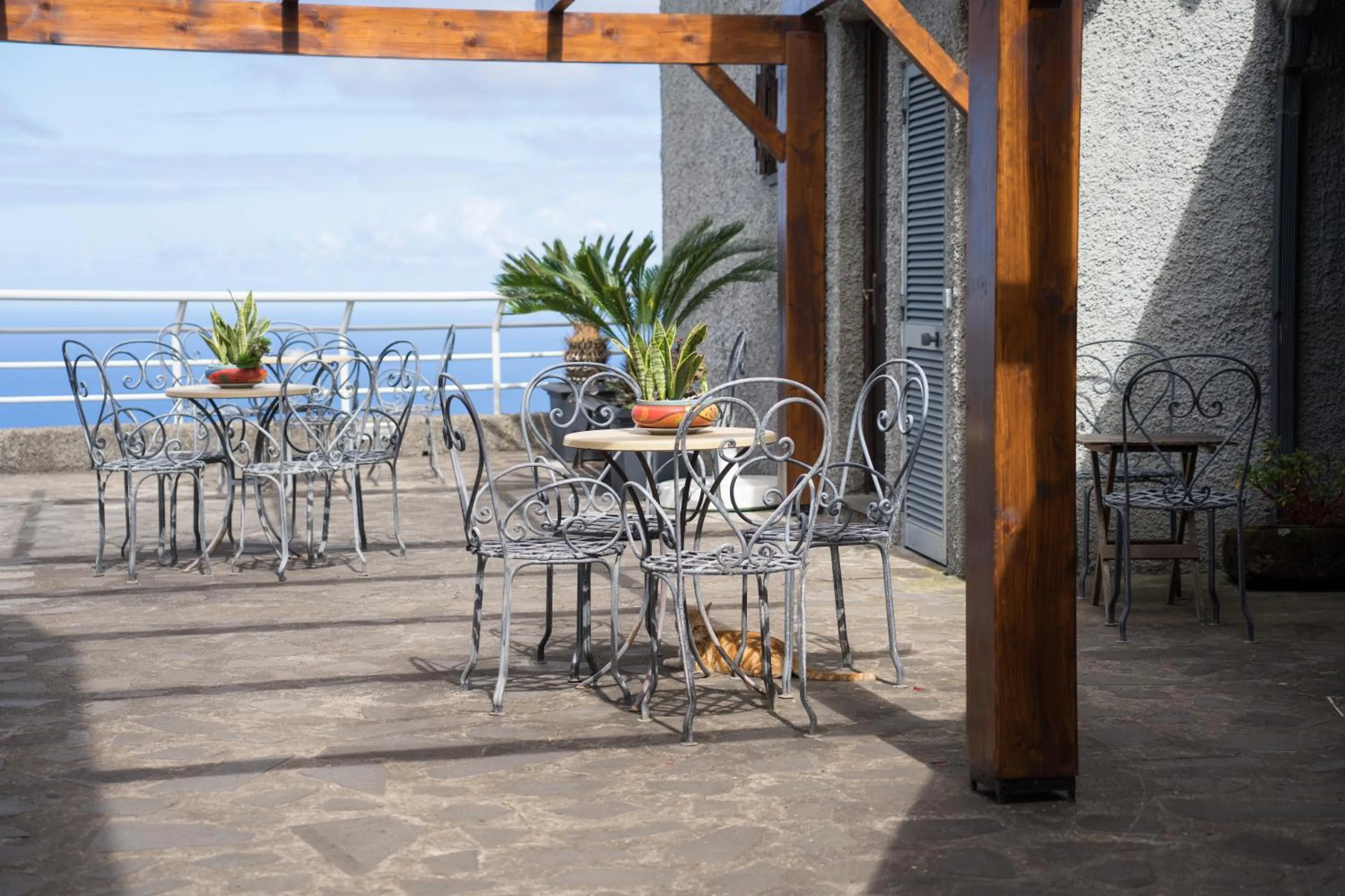 Patio in Casa das Proteas