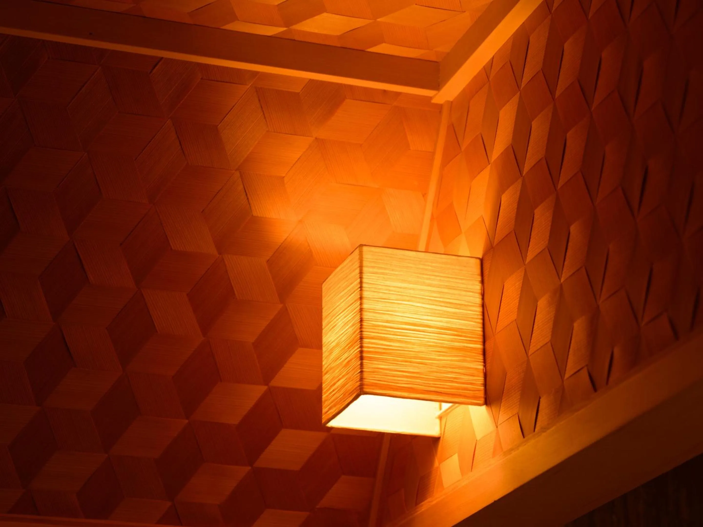 Photo of the whole room in Ryokan Kohro