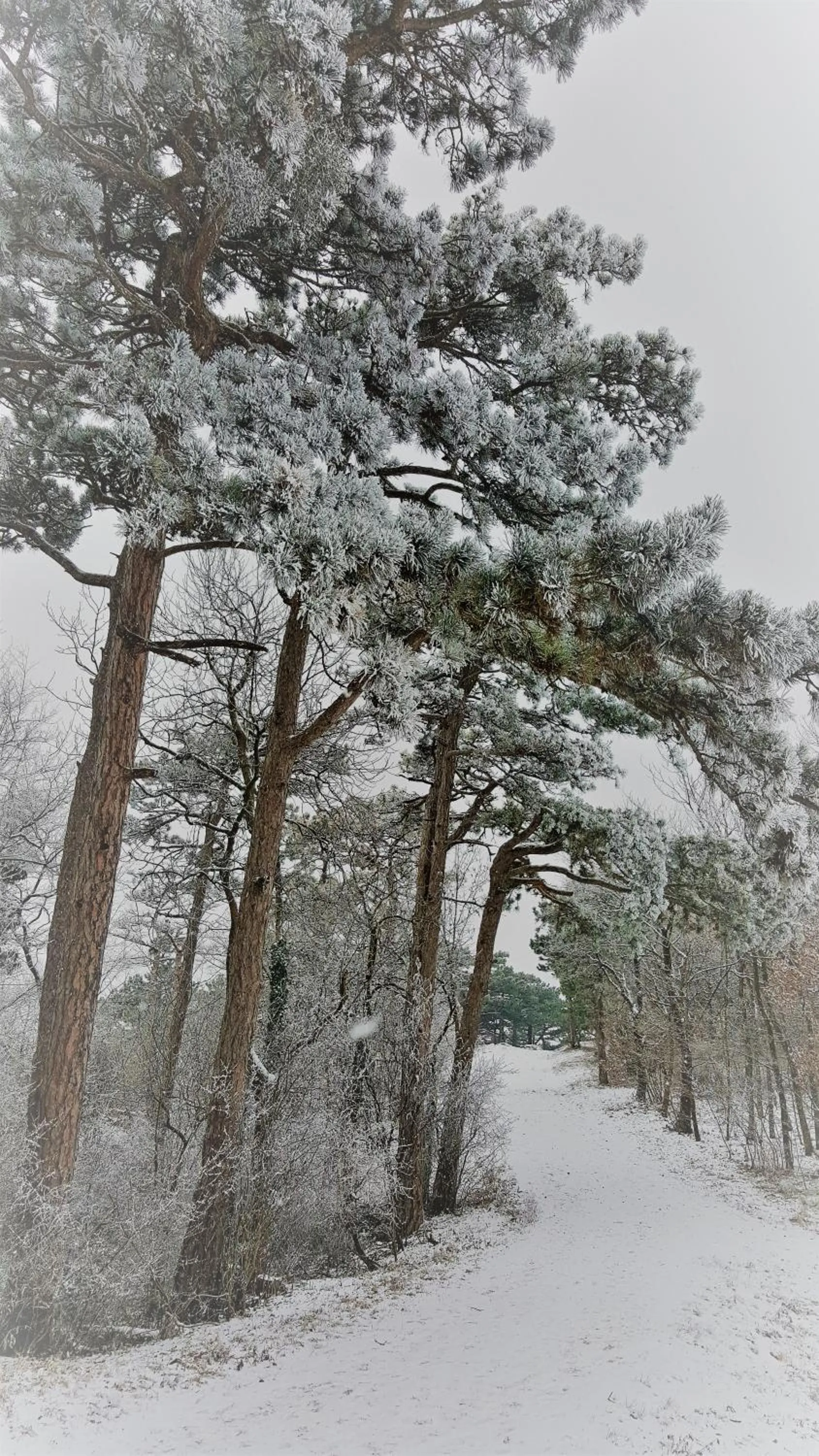 Natural landscape in Hotel Hotwagner