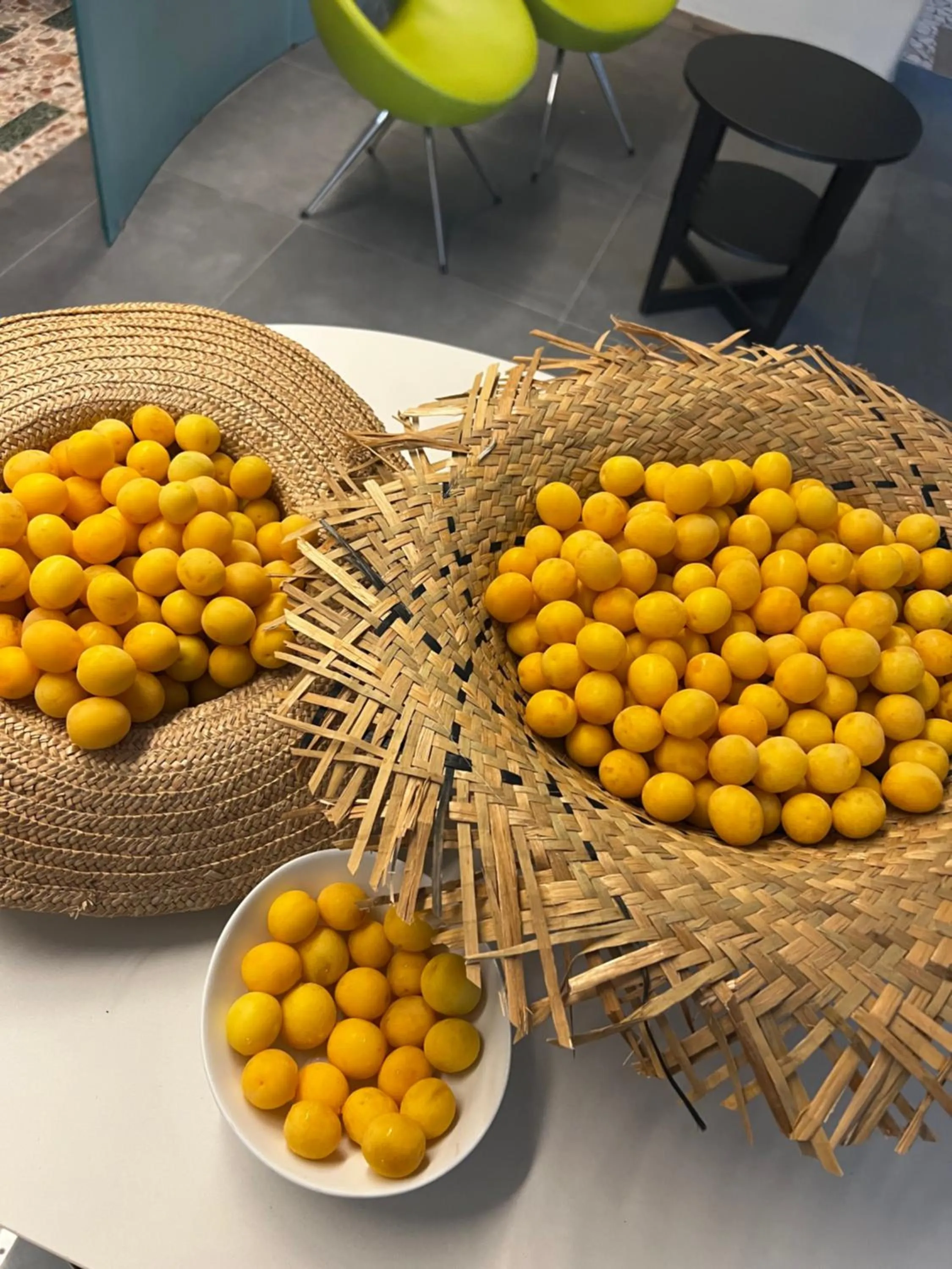 Day in Hotel Donegal