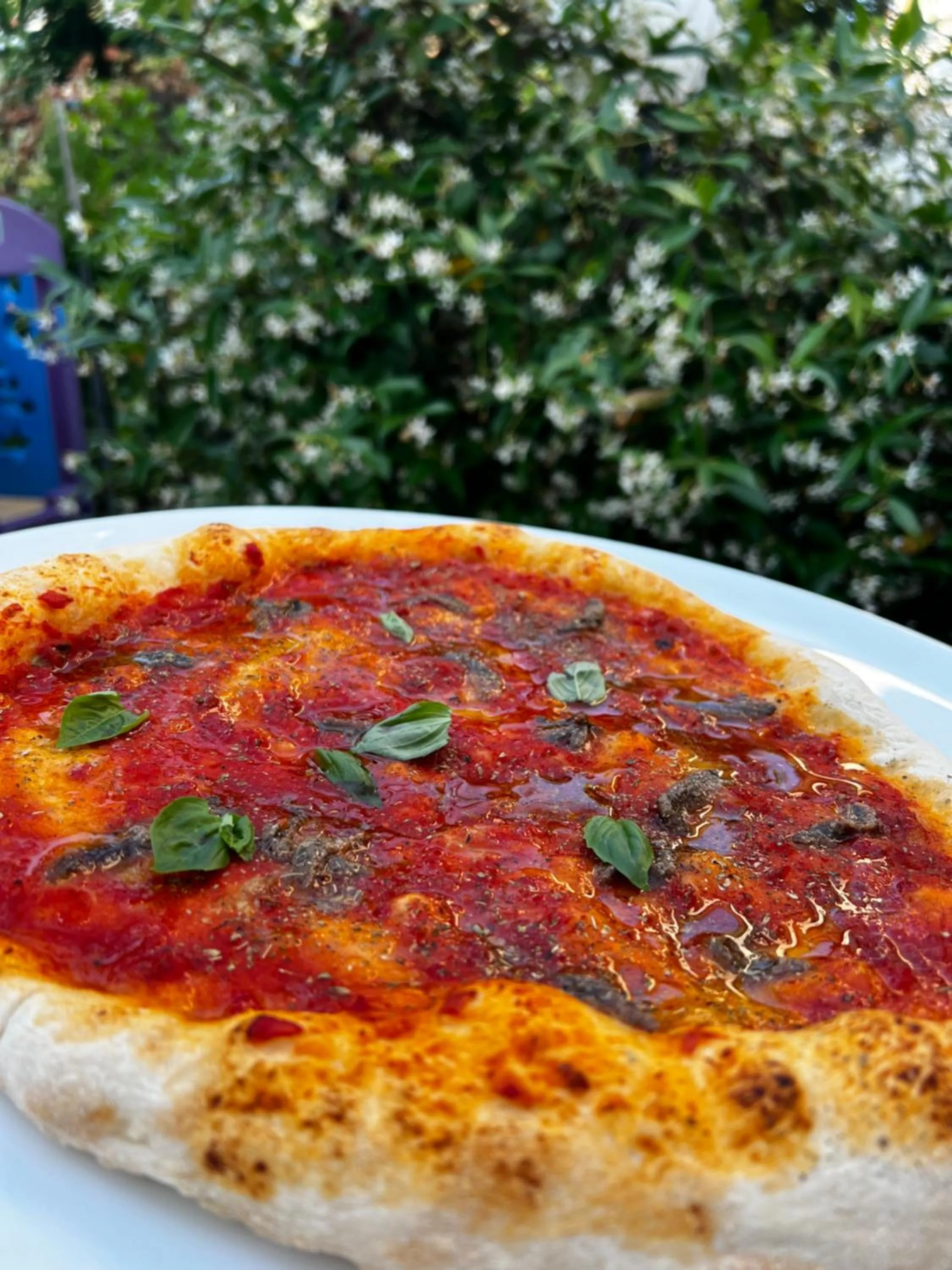 Restaurant/places to eat in Hotel Donegal