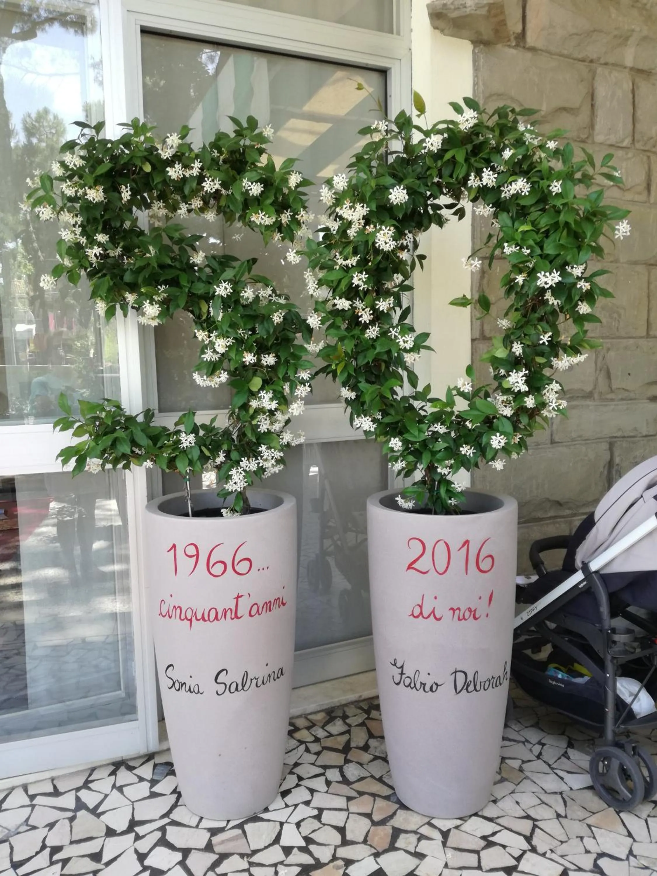 Summer in Hotel Donegal