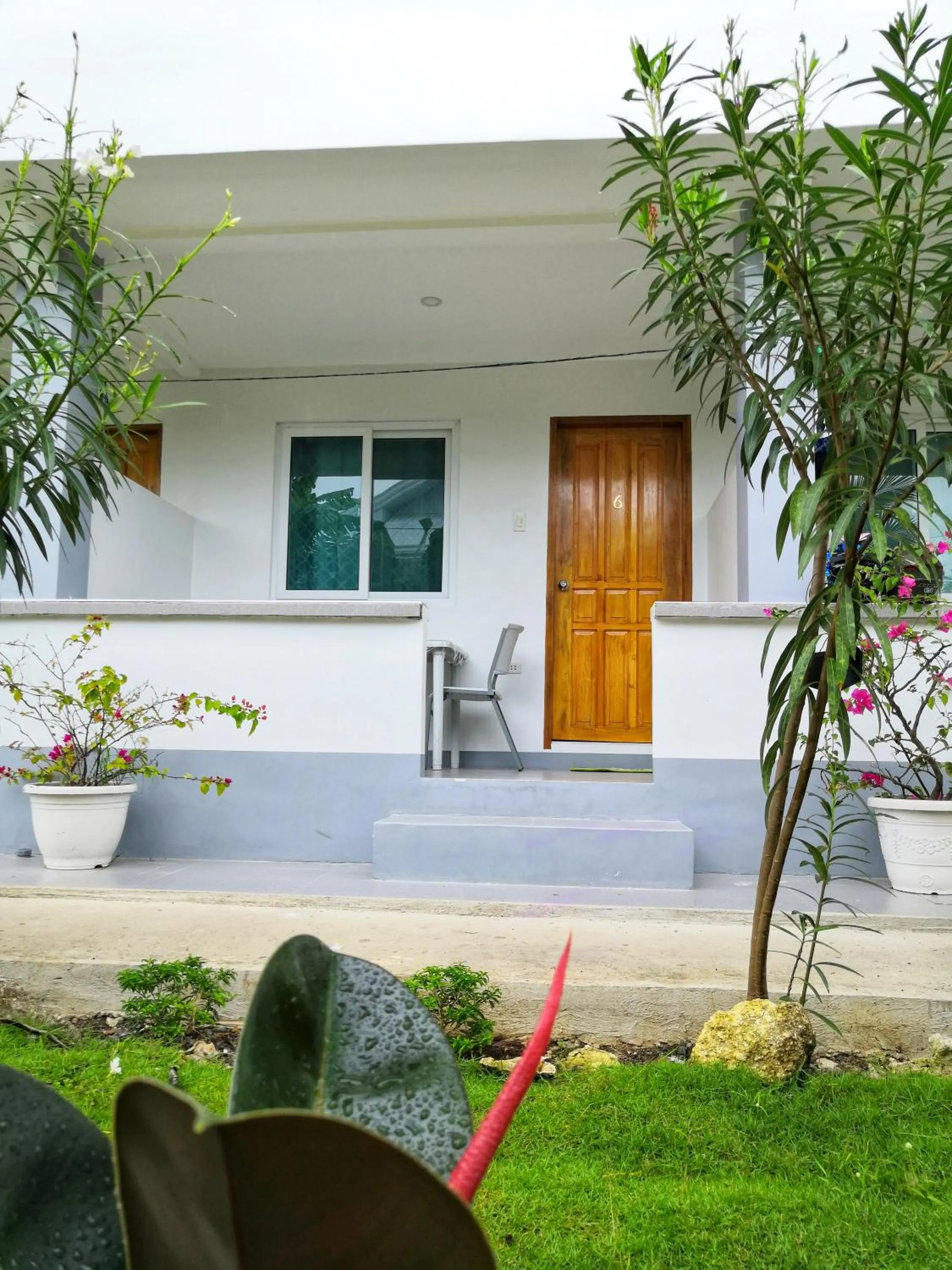 Garden view in Beyond Island